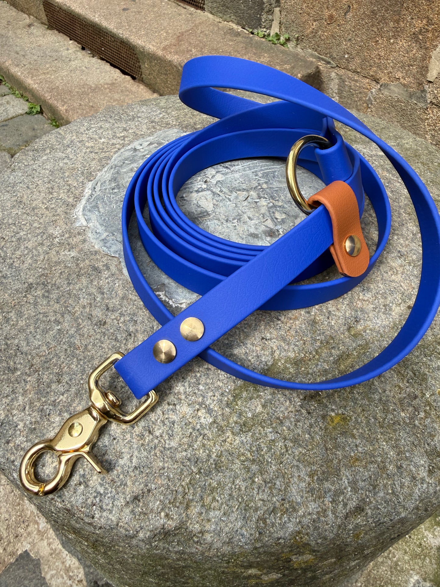 Laisse kit main libre -Biothane- bleu roi et camel