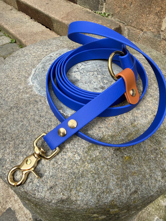 Laisse kit main libre -Biothane- bleu roi et camel