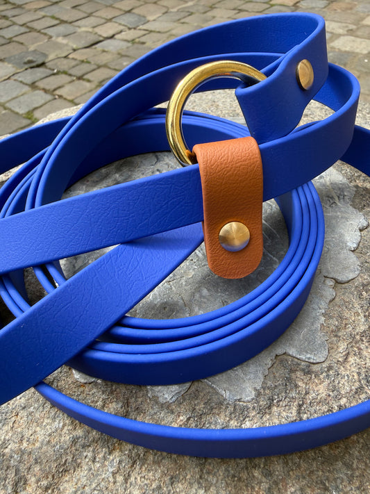 Laisse kit main libre -Biothane- bleu roi et camel