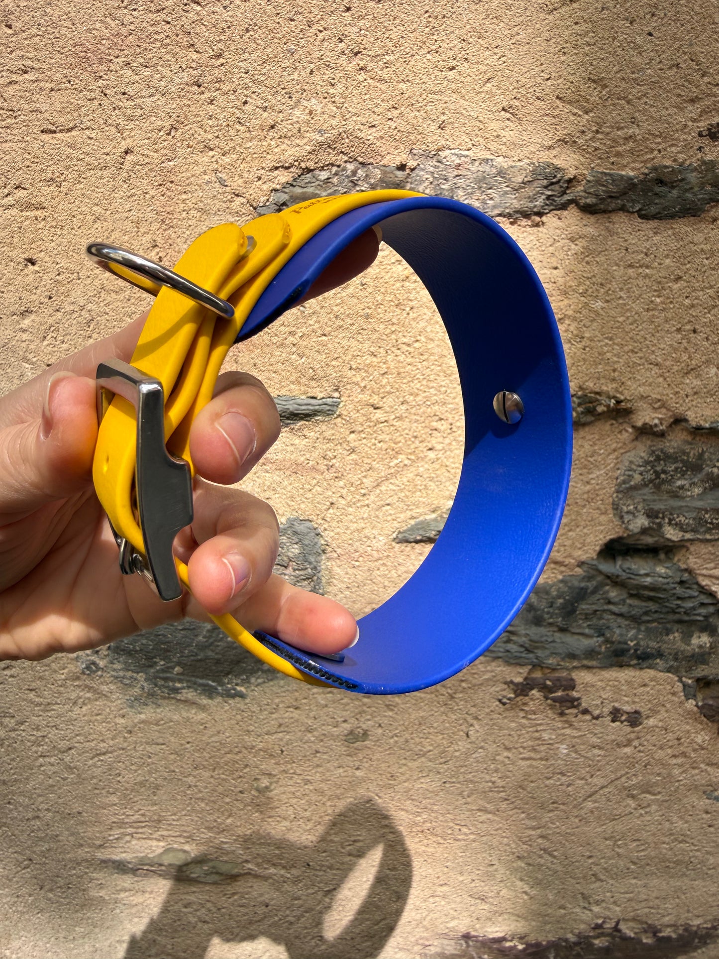 Collier Duo pour chien en Biothane-waterproof-évolutif