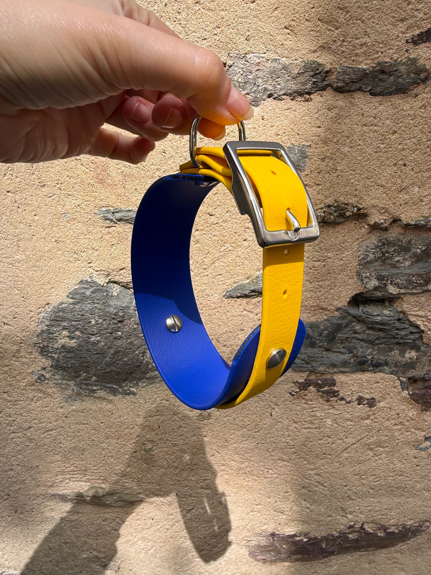 Collier Duo pour chien en Biothane-waterproof-évolutif