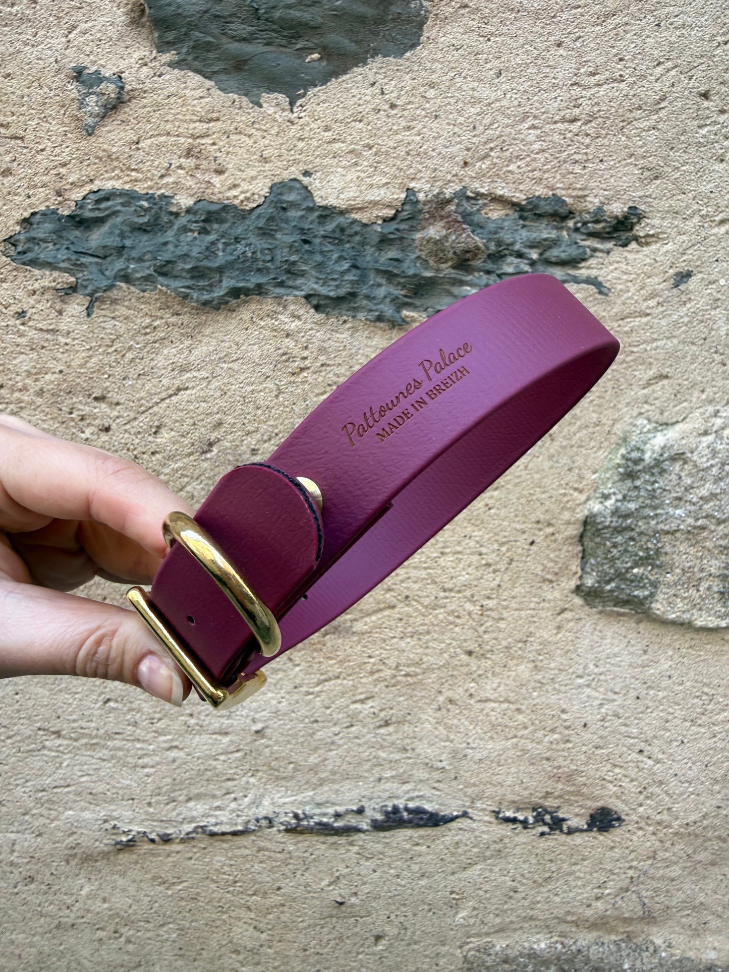 Collier essentiel évolutif -Biothane- lie de vin