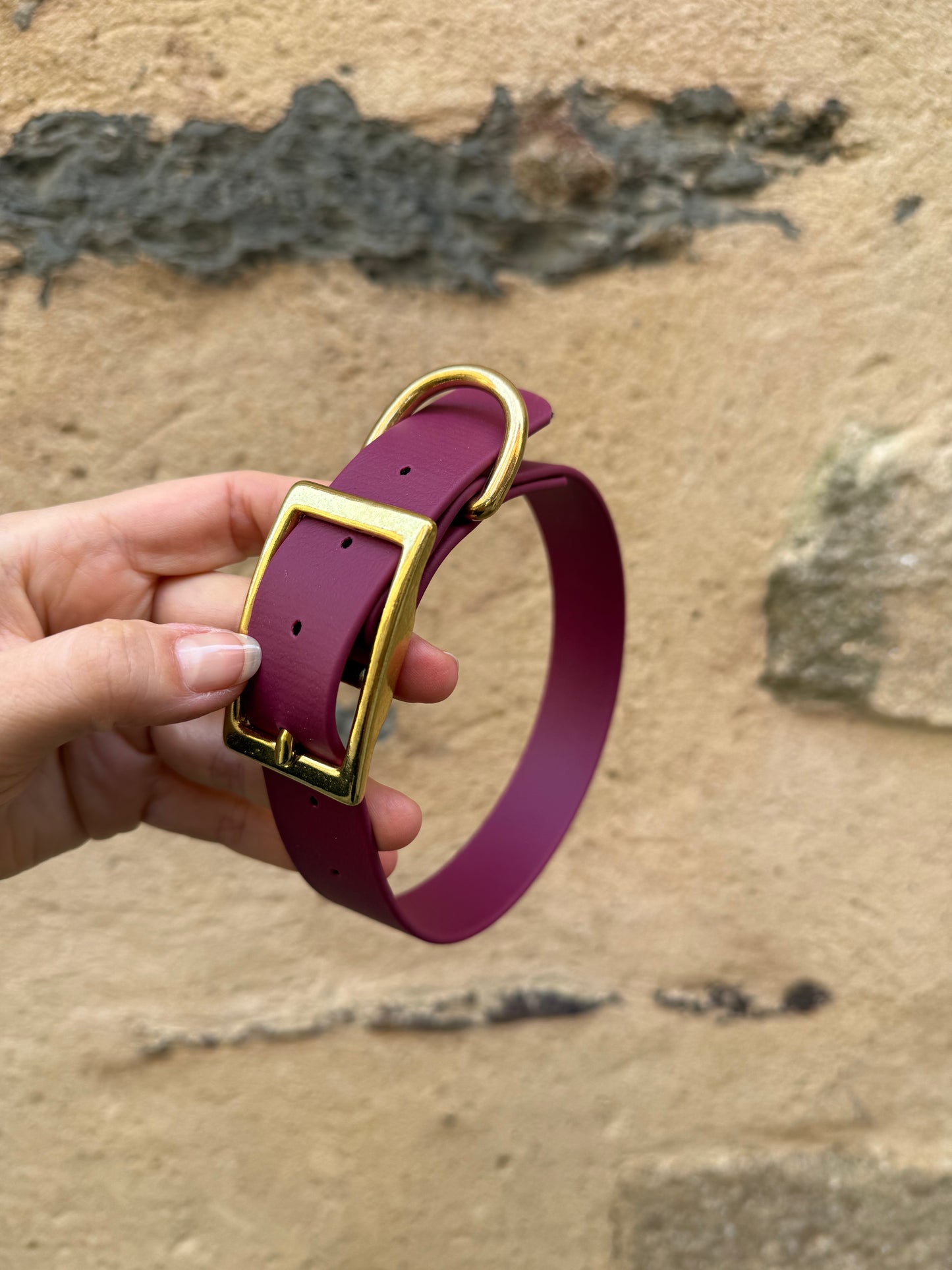 Collier essentiel évolutif -Biothane- lie de vin