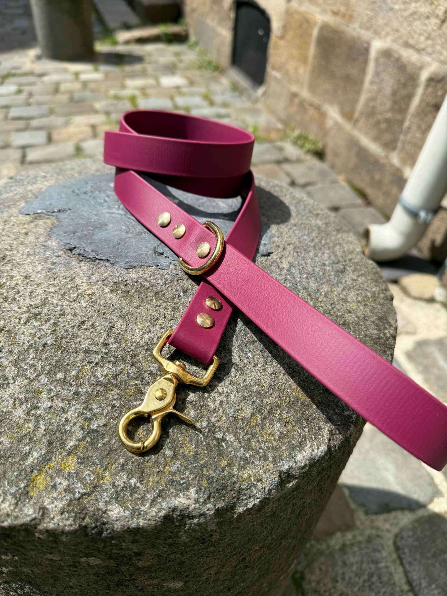 Laisse essentielle large-Boithane-lie de vin