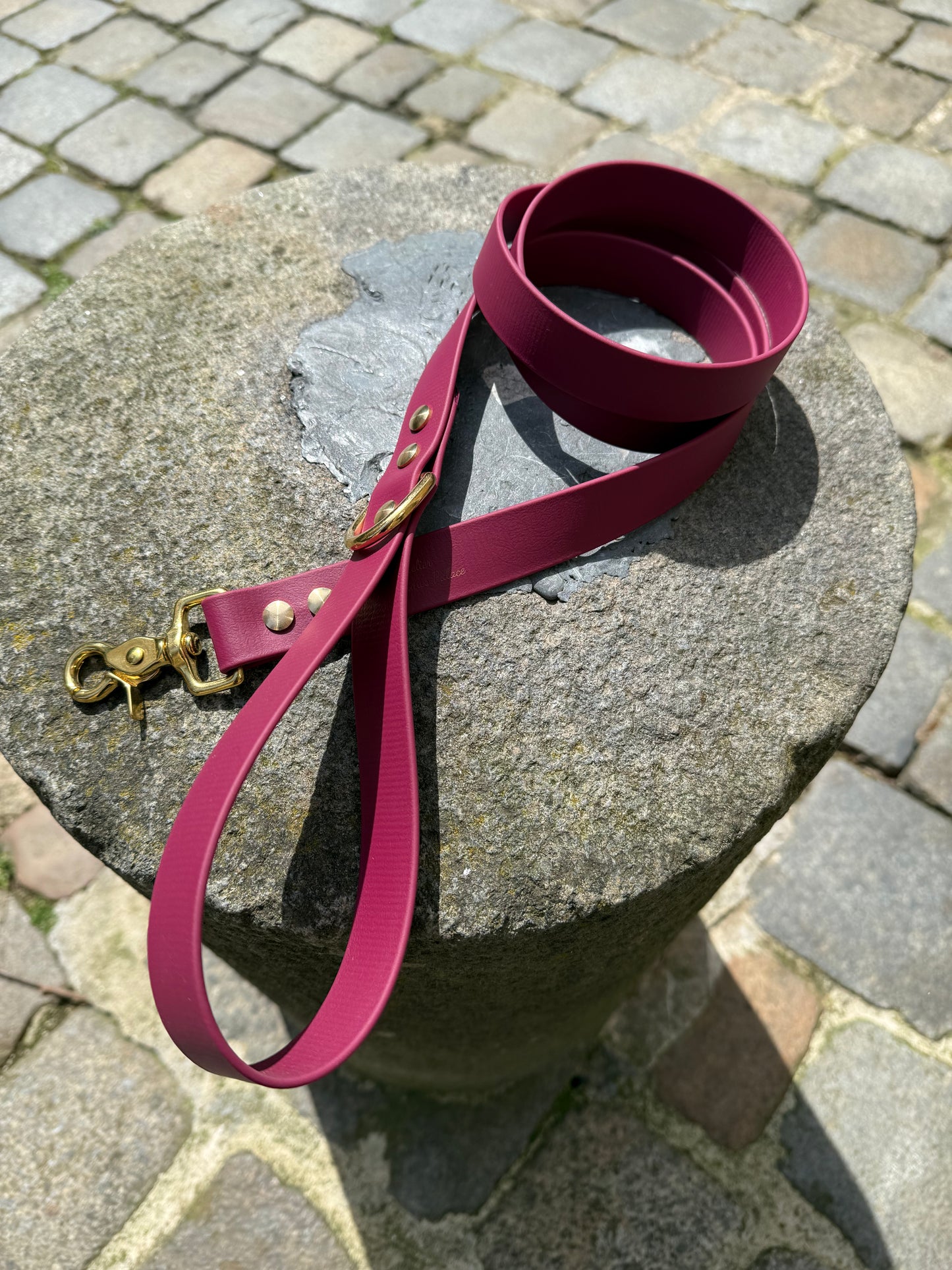 Laisse essentielle large-Boithane-lie de vin