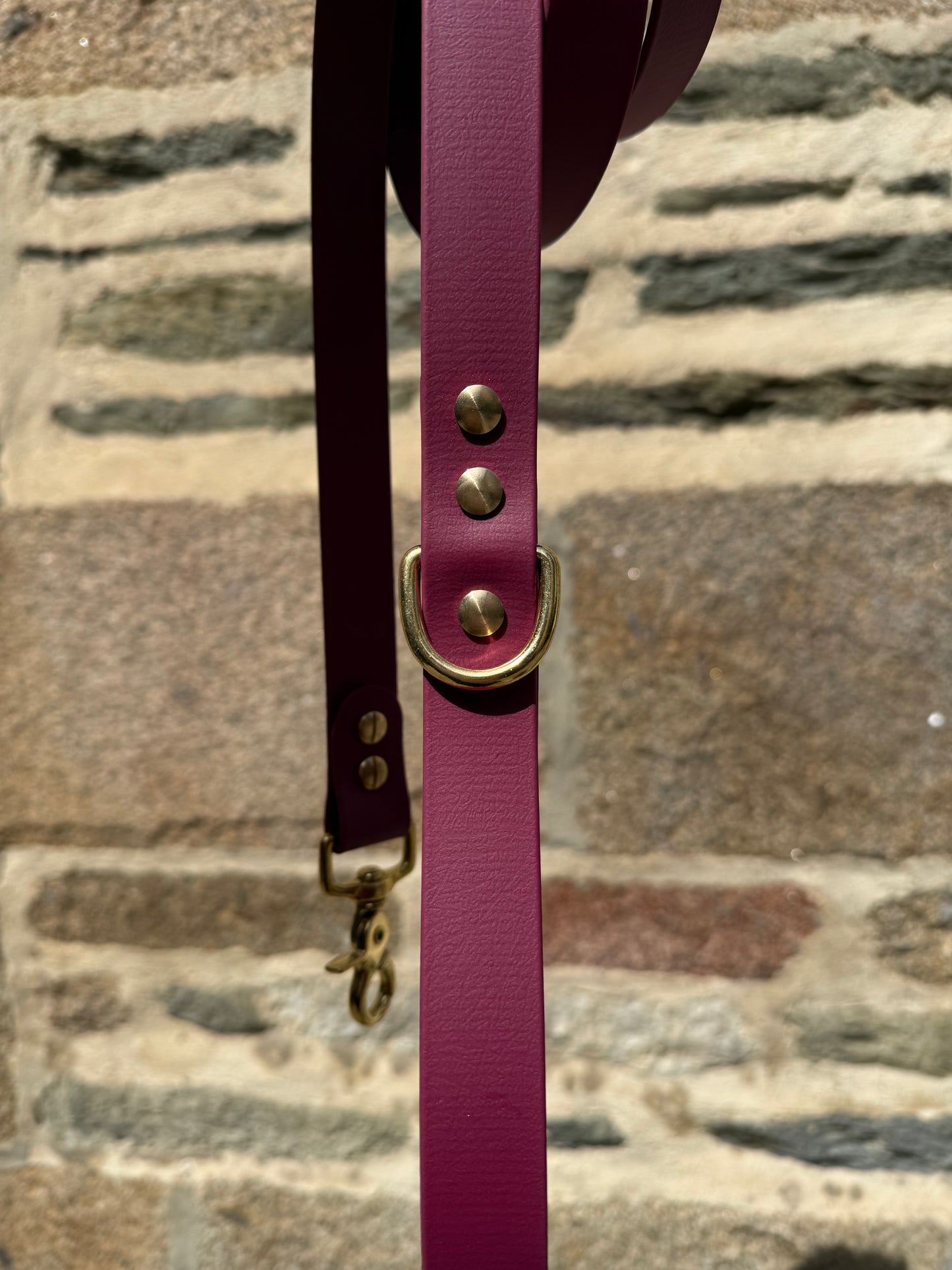 Laisse essentielle large-Boithane-lie de vin