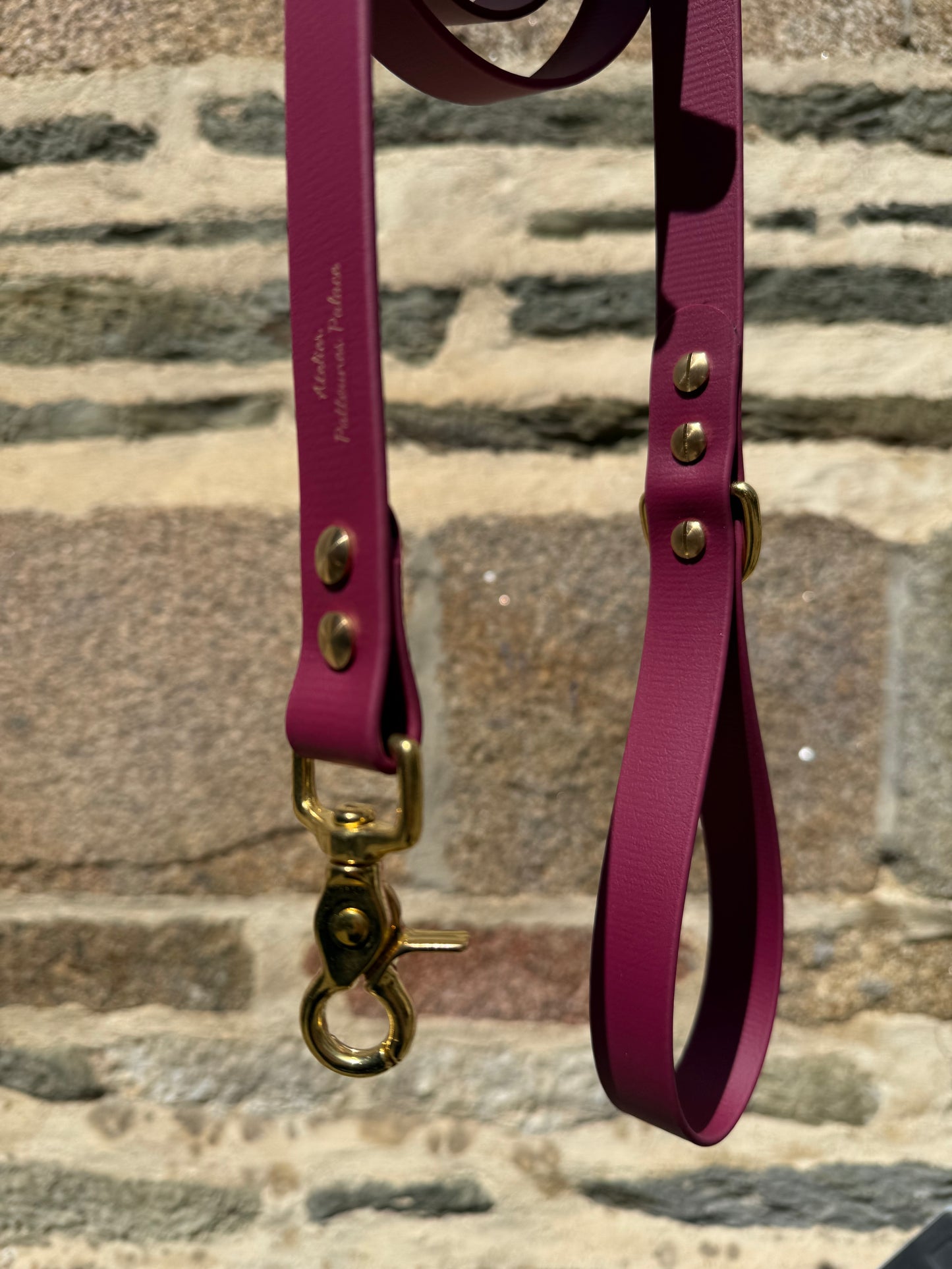 Laisse essentielle large-Boithane-lie de vin