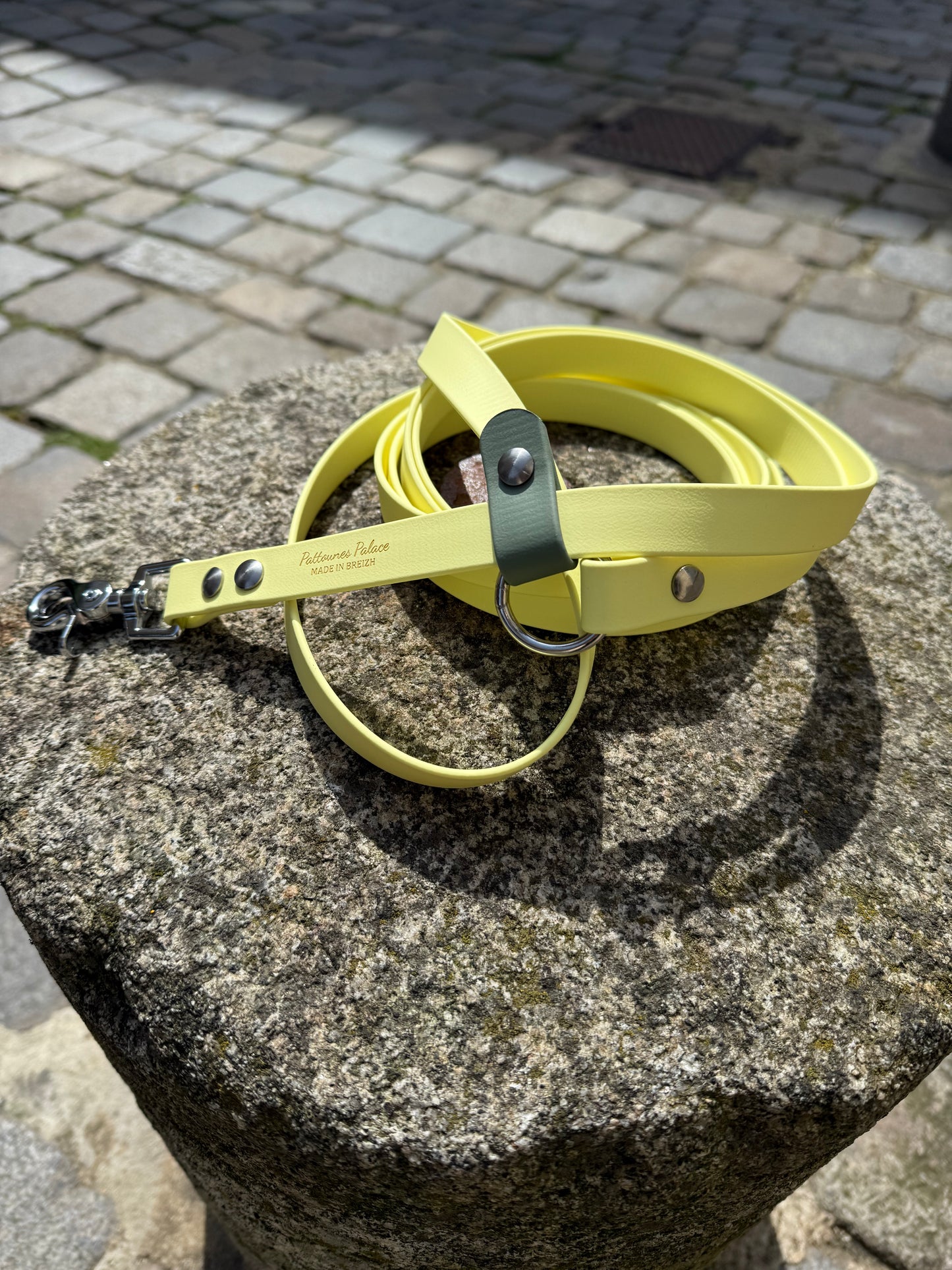 Laisse kit main libre -Biothane- jaune pastel et vert sauge
