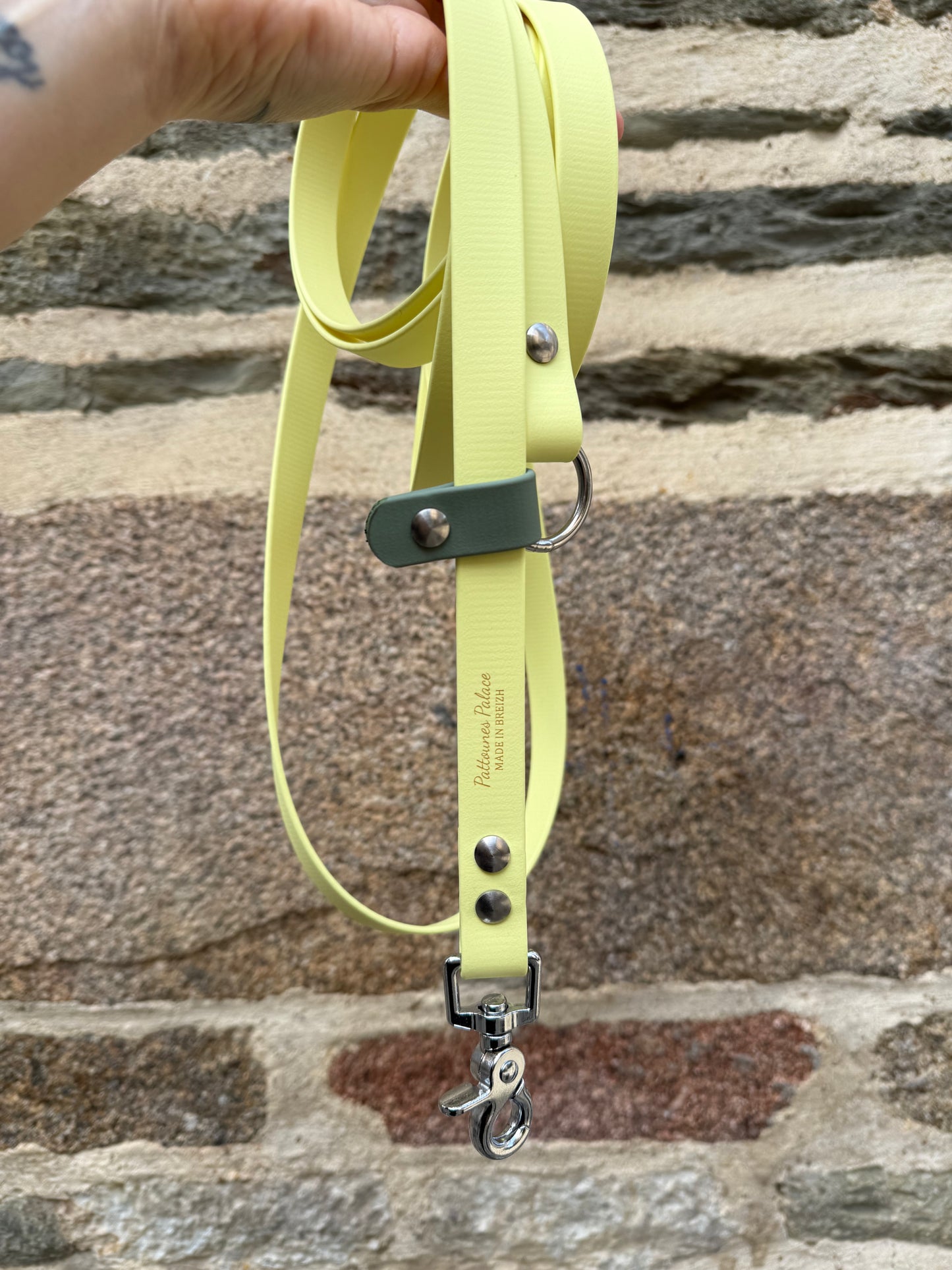 Laisse kit main libre -Biothane- jaune pastel et vert sauge