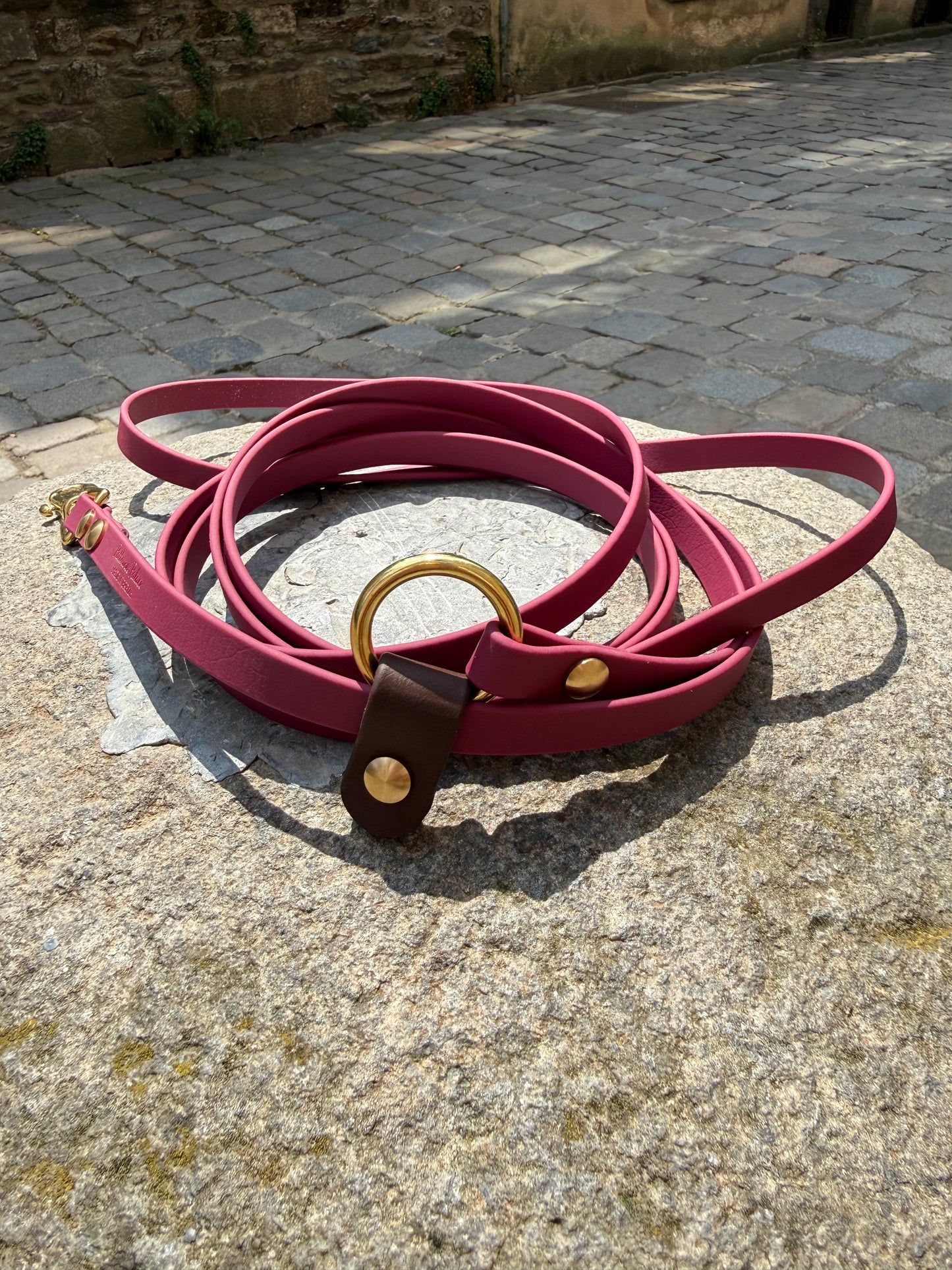 Laisse Kit Main Libre MINI -Biothane- lie de vin et marron foncé