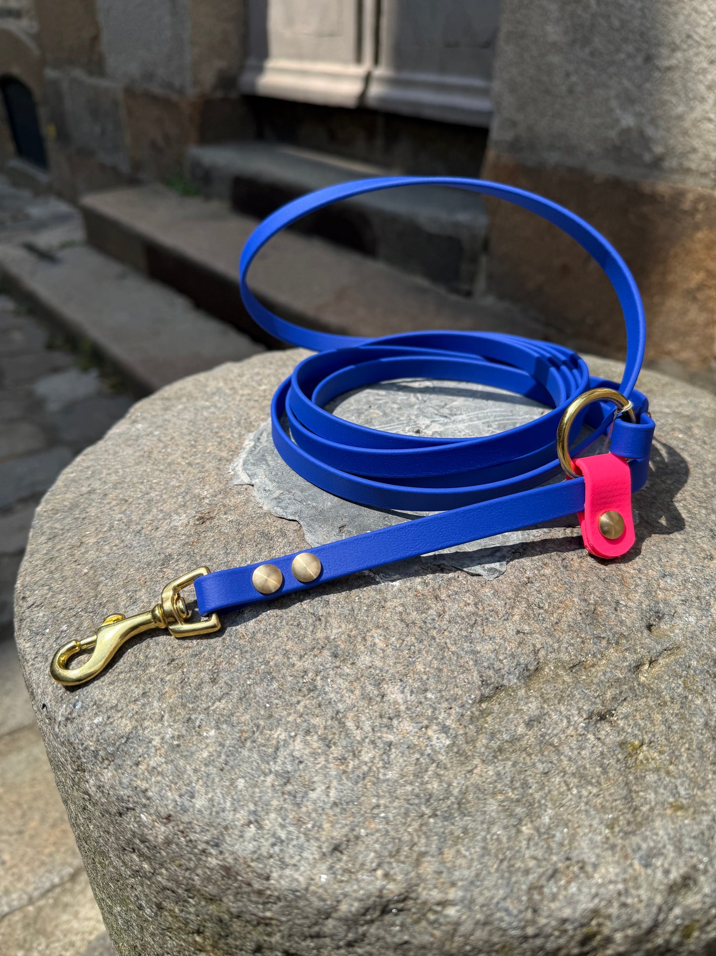 Laisse Kit Main Libre MINI -Biothane- bleu roi&rose néon