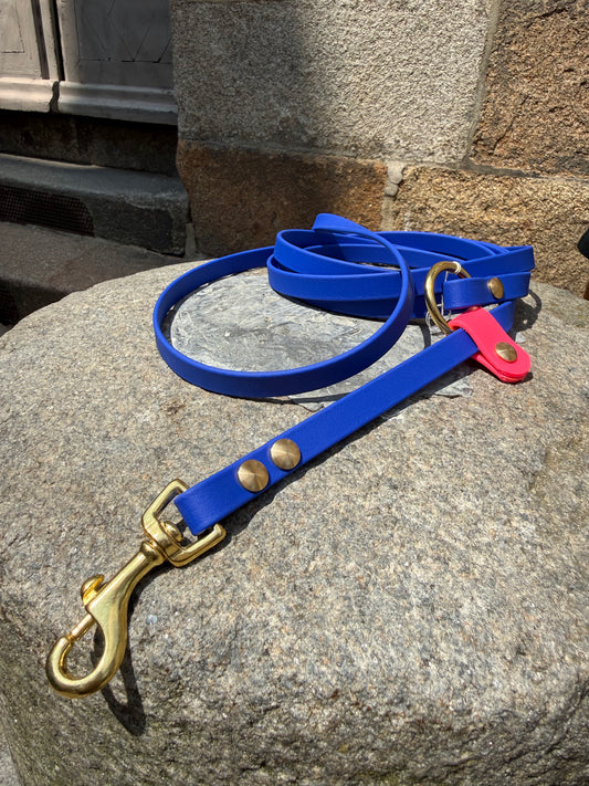 Laisse Kit Main Libre MINI -Biothane- bleu roi&rose néon