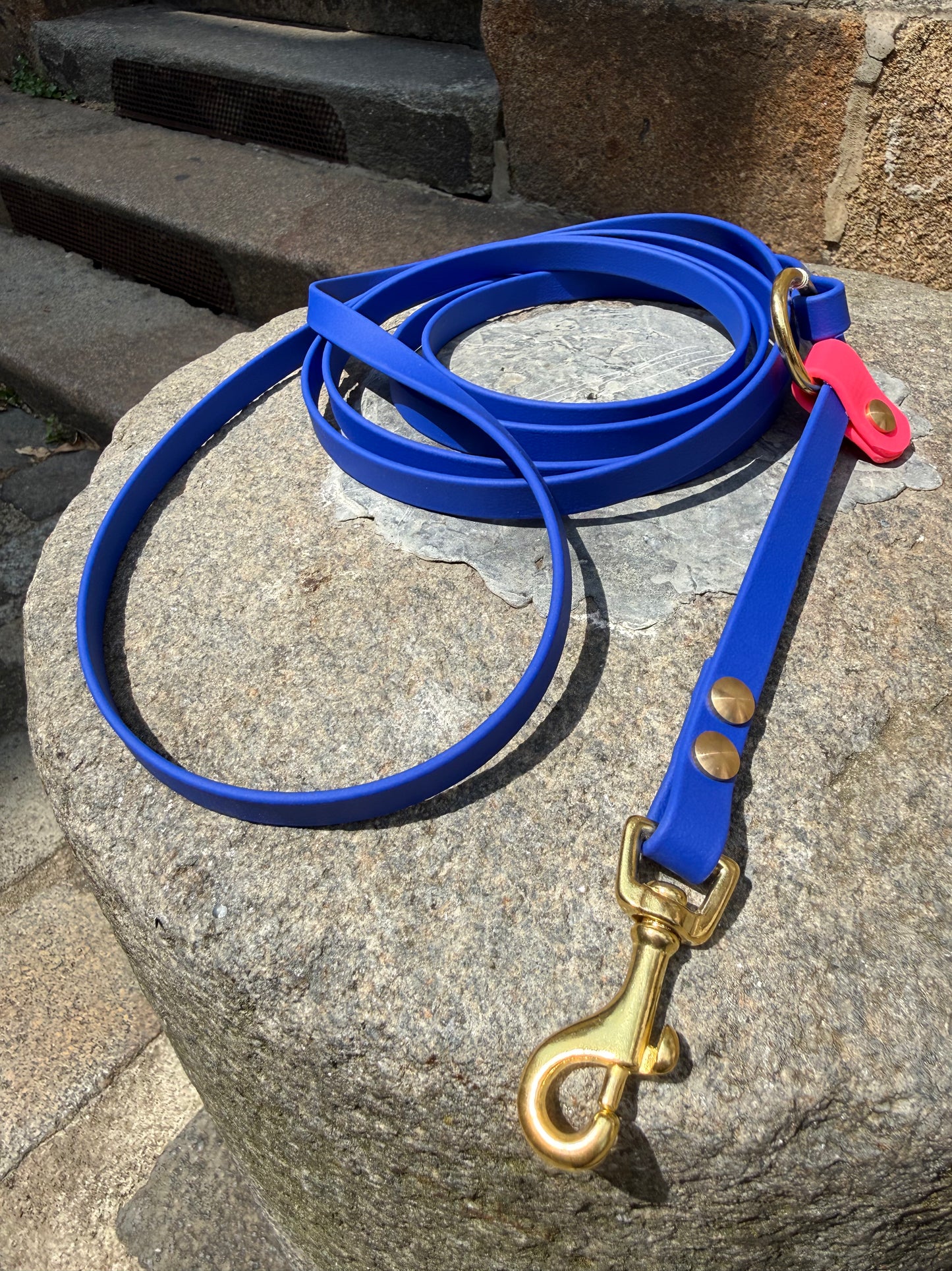 Laisse Kit Main Libre MINI -Biothane- bleu roi&rose néon