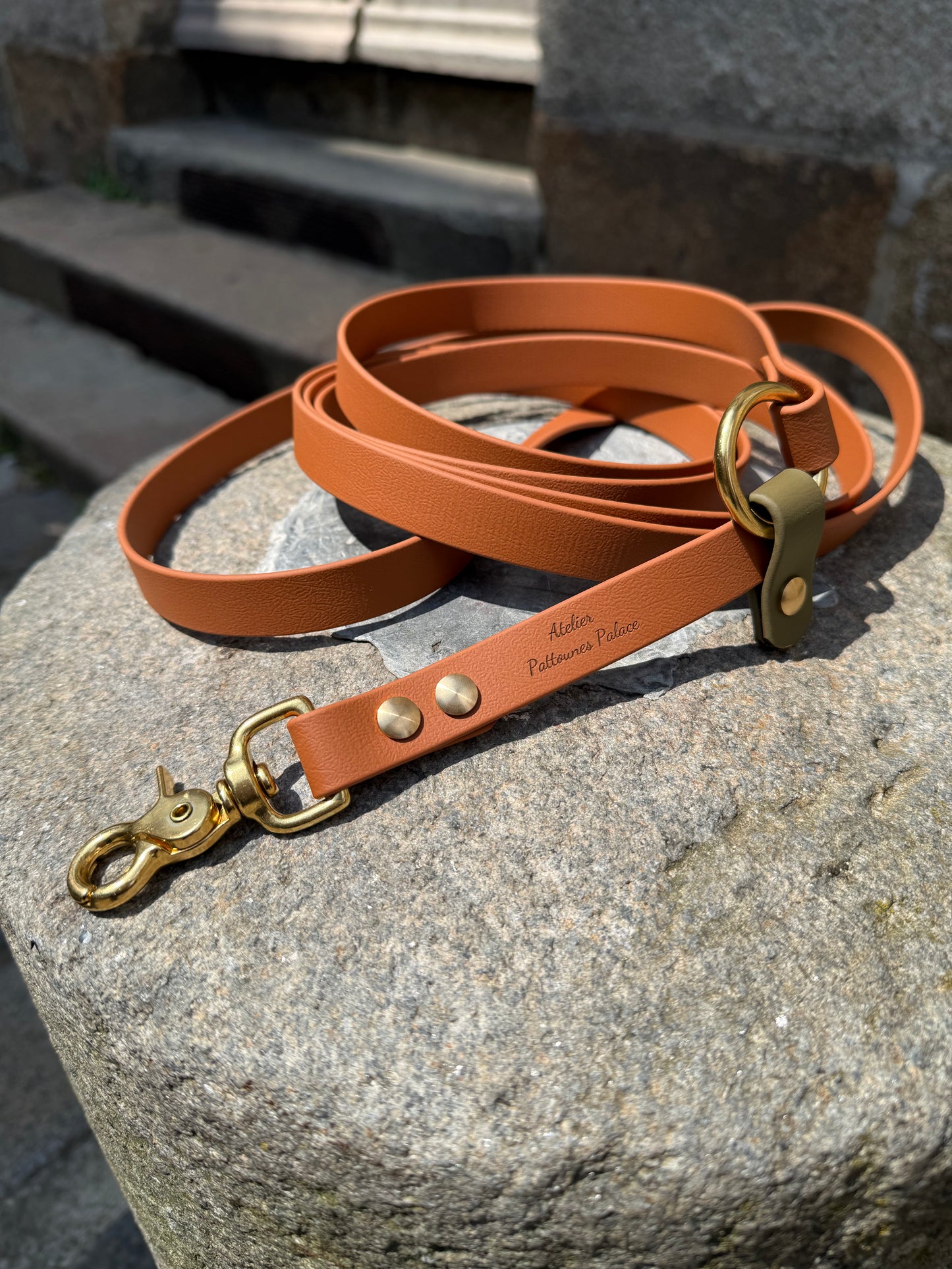 Laisse kit main libre -Biothane- camel et kaki