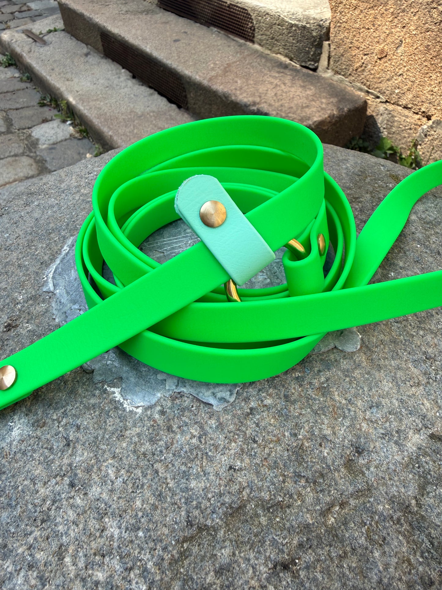 Laisse kit main libre - Biothane - vert néon et caraïbe