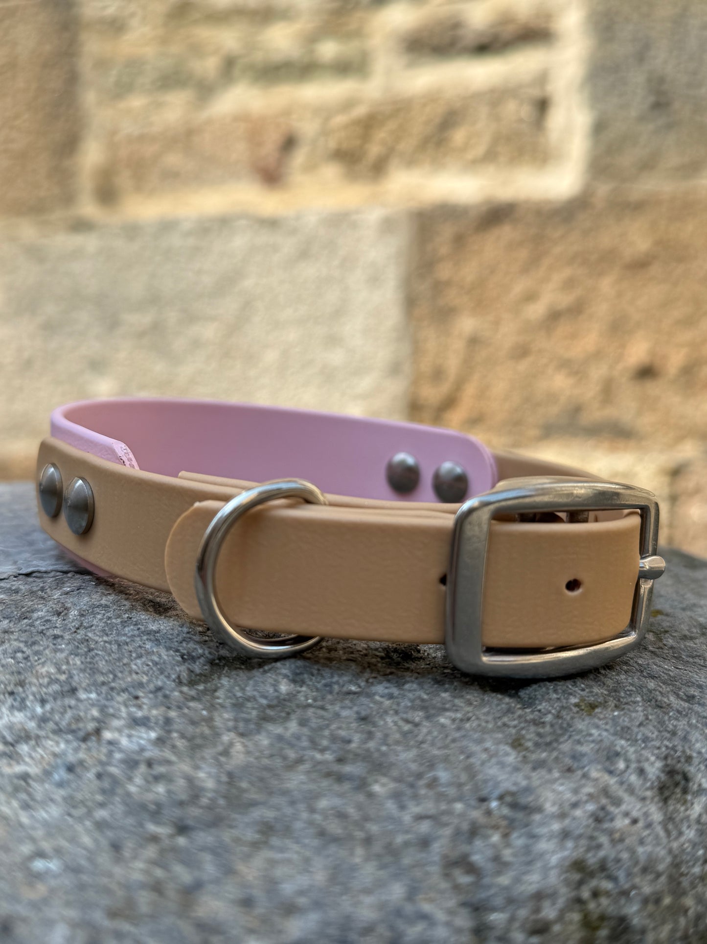 Collier Duo en Biothane- Rose pastel & Or light