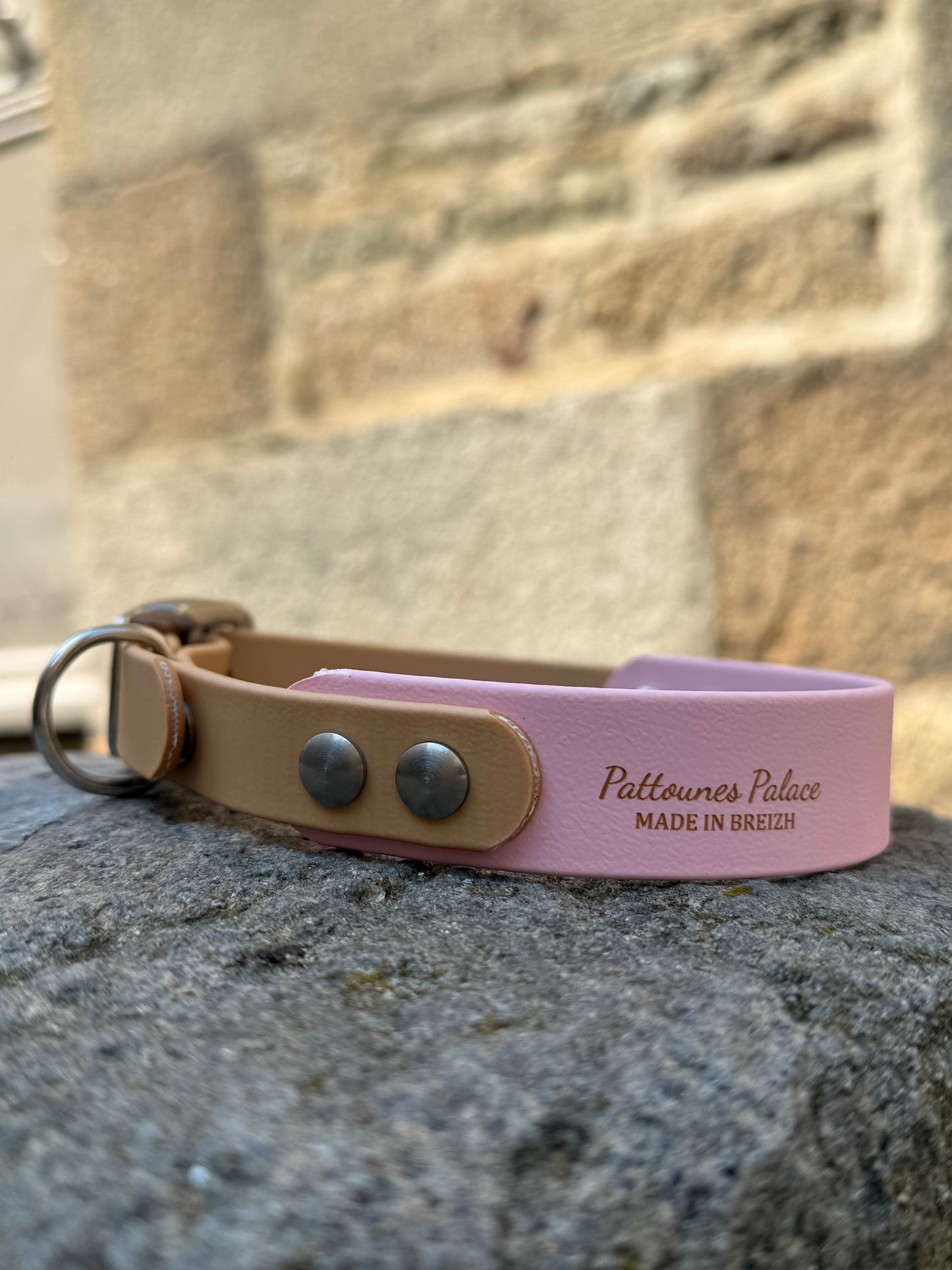 Collier Duo en Biothane- Rose pastel & Or light
