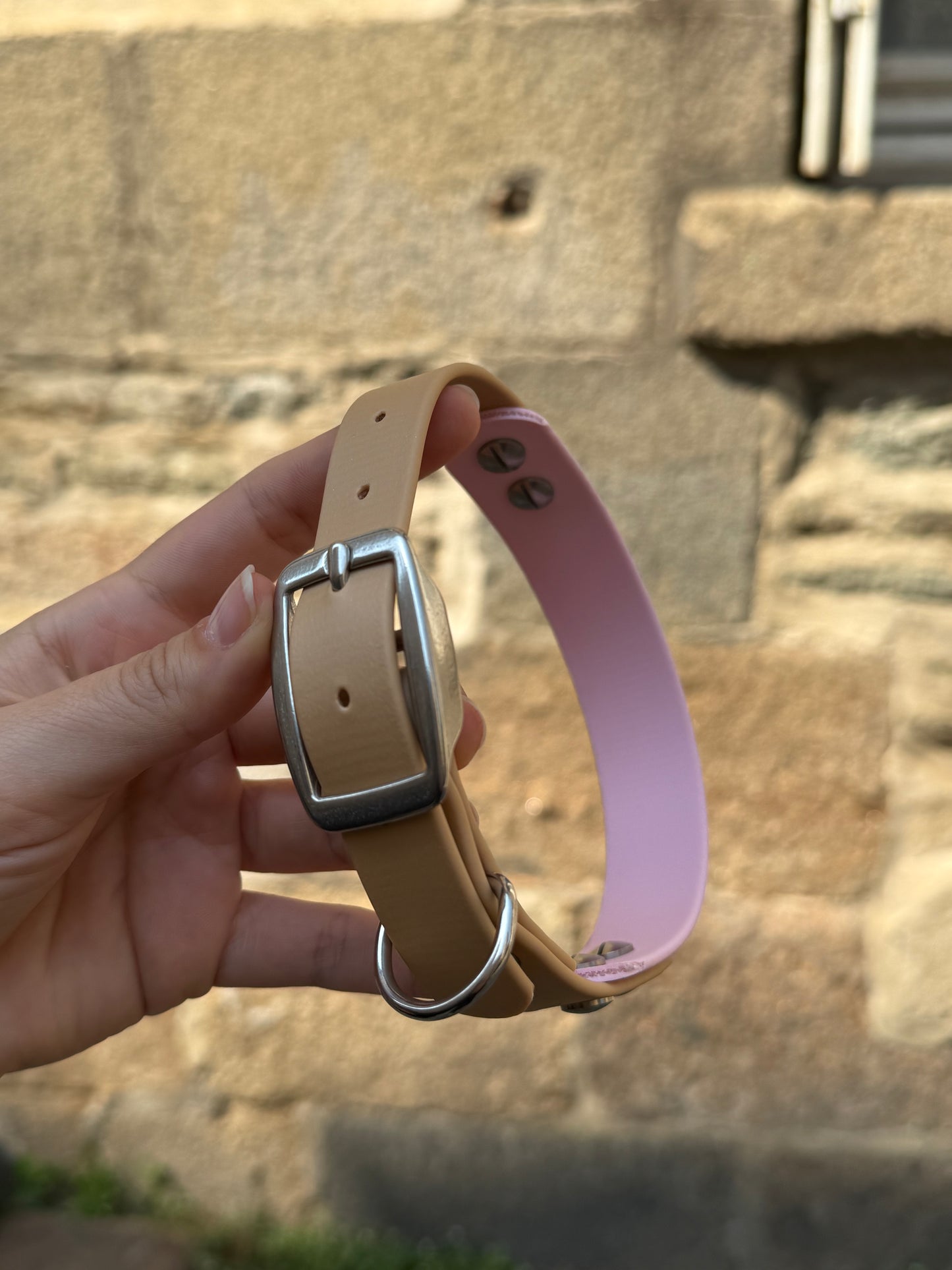 Collier Duo en Biothane- Rose pastel & Or light