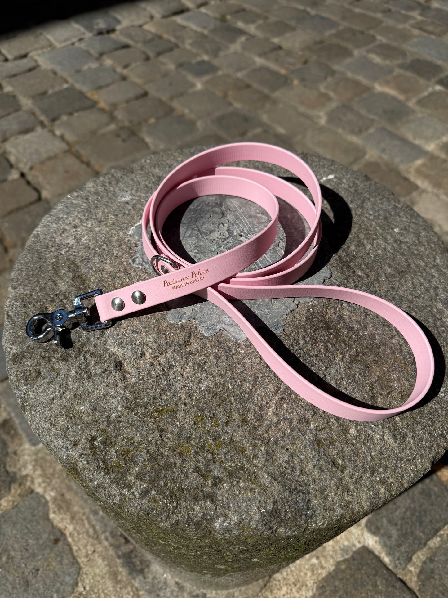 Laisse essentielle -Rose pastel- Biothane