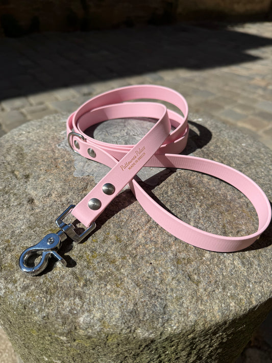 Laisse essentielle -Rose pastel- Biothane