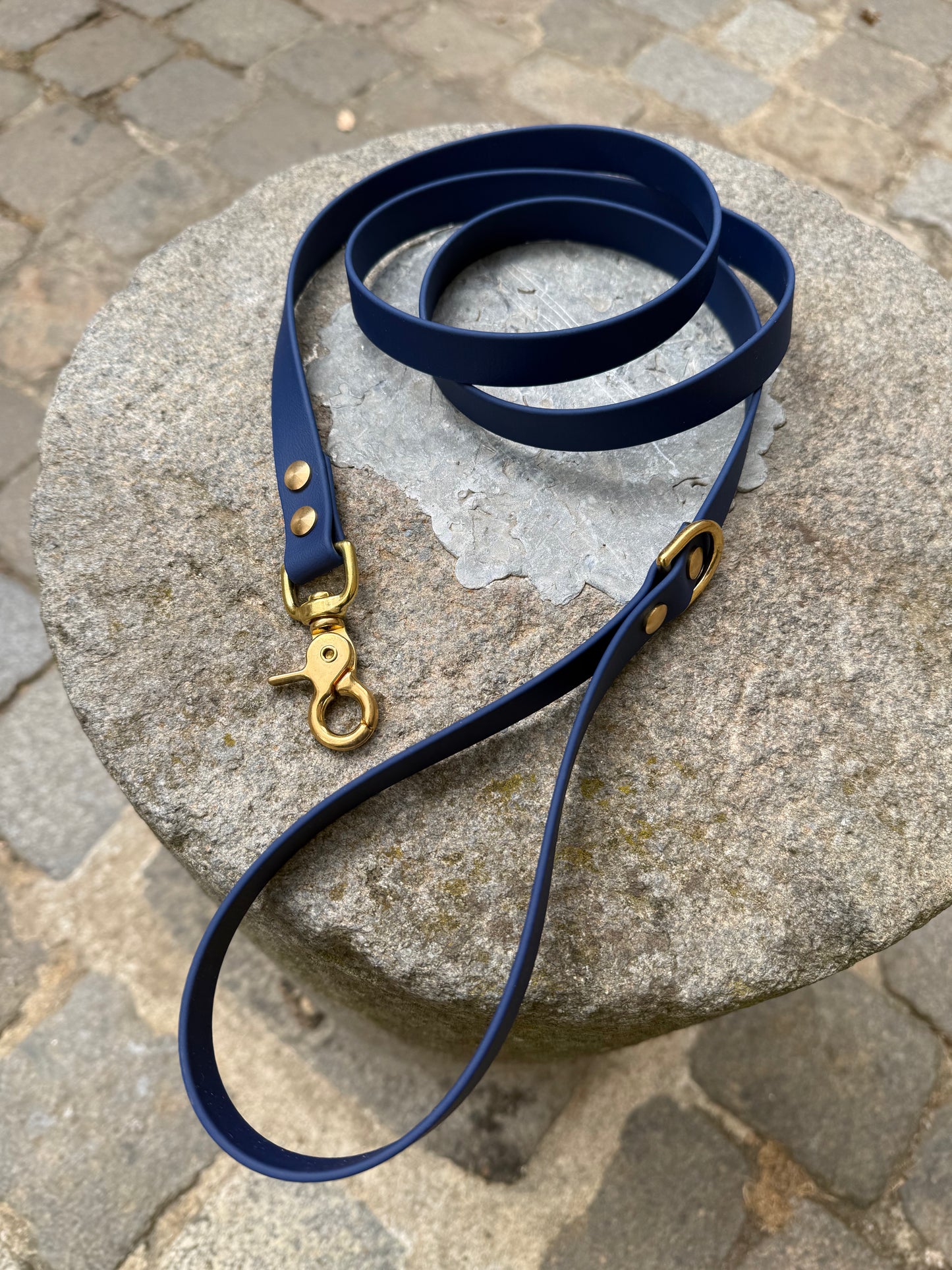 Laisse essentielle -Bleu Navy- Biothane