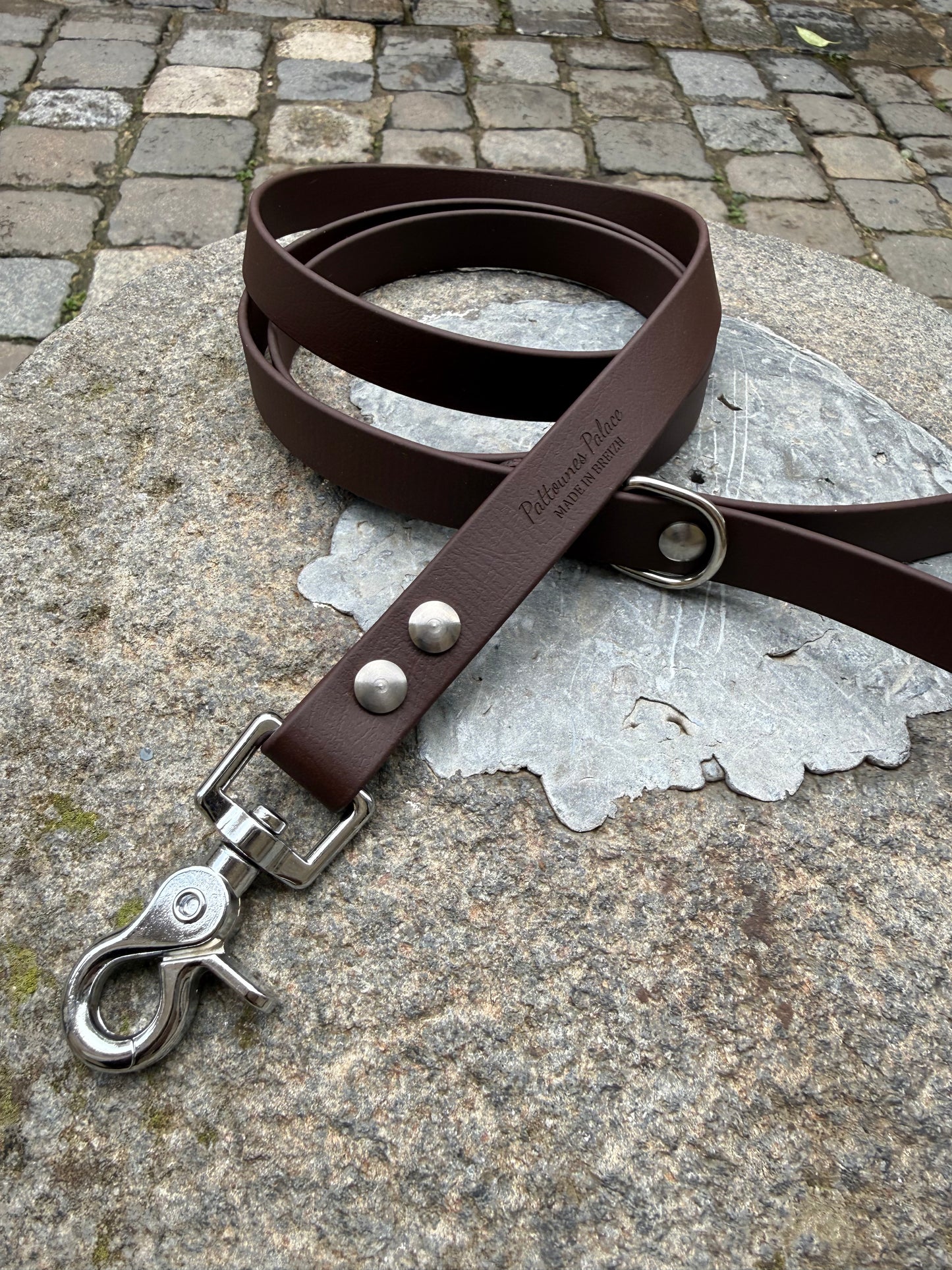 Laisse essentielle -Marron foncé - Biothane