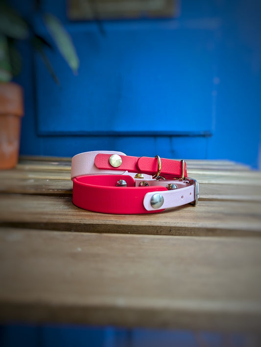 Collier Biothane - Rose & Rouge - Petit chien