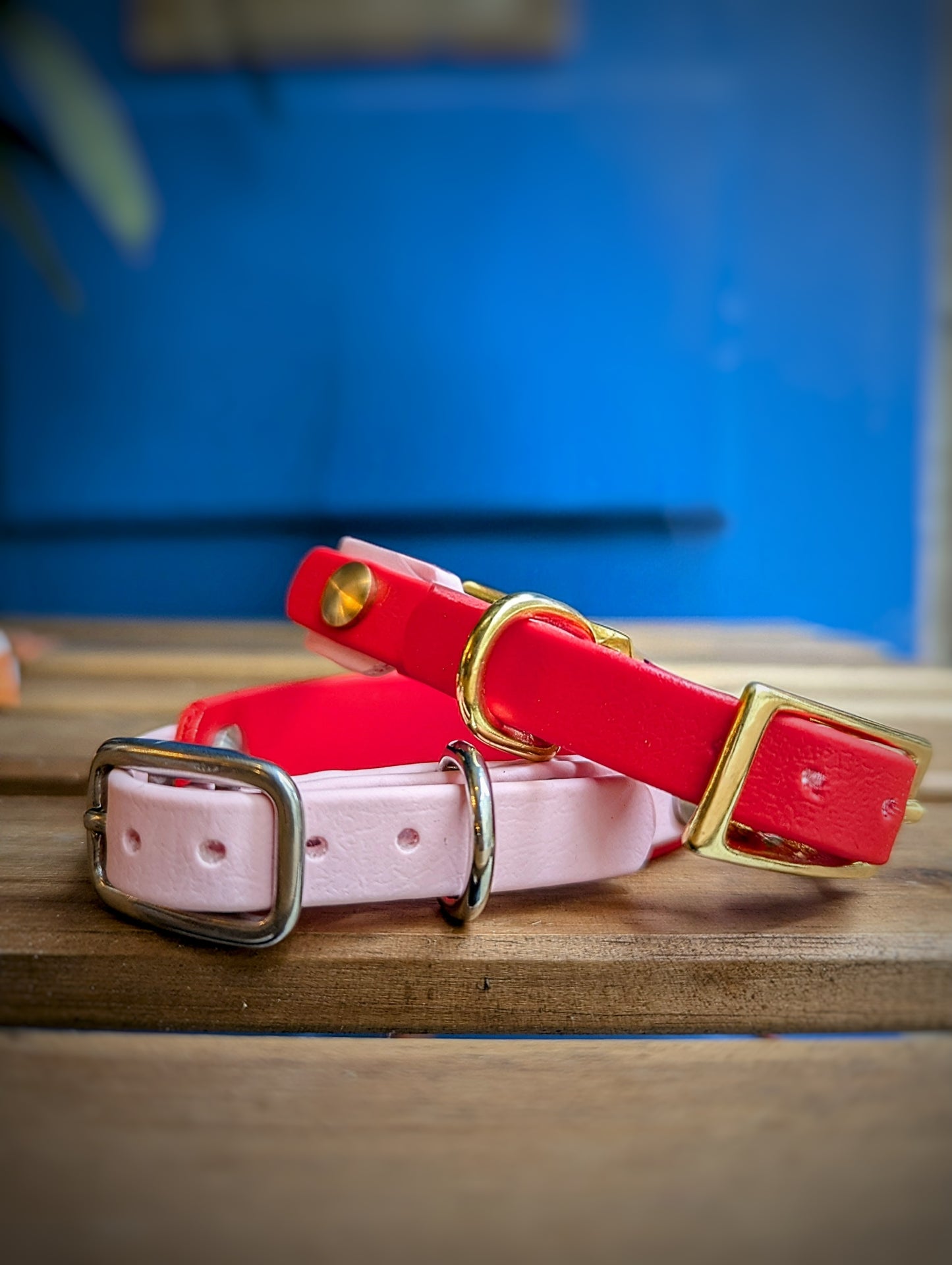 Collier Biothane - Rose & Rouge - Petit chien