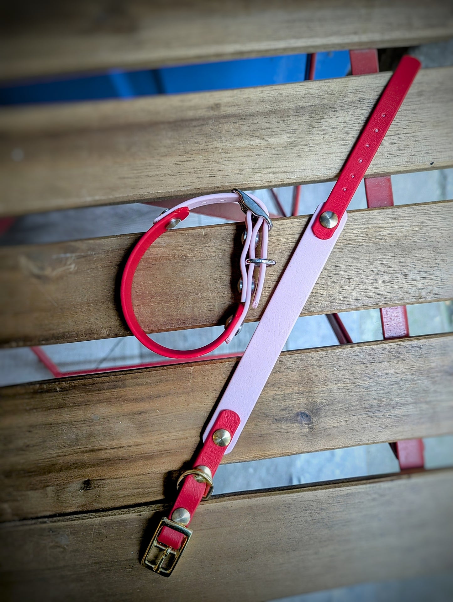 Collier Biothane - Rose & Rouge - Petit chien