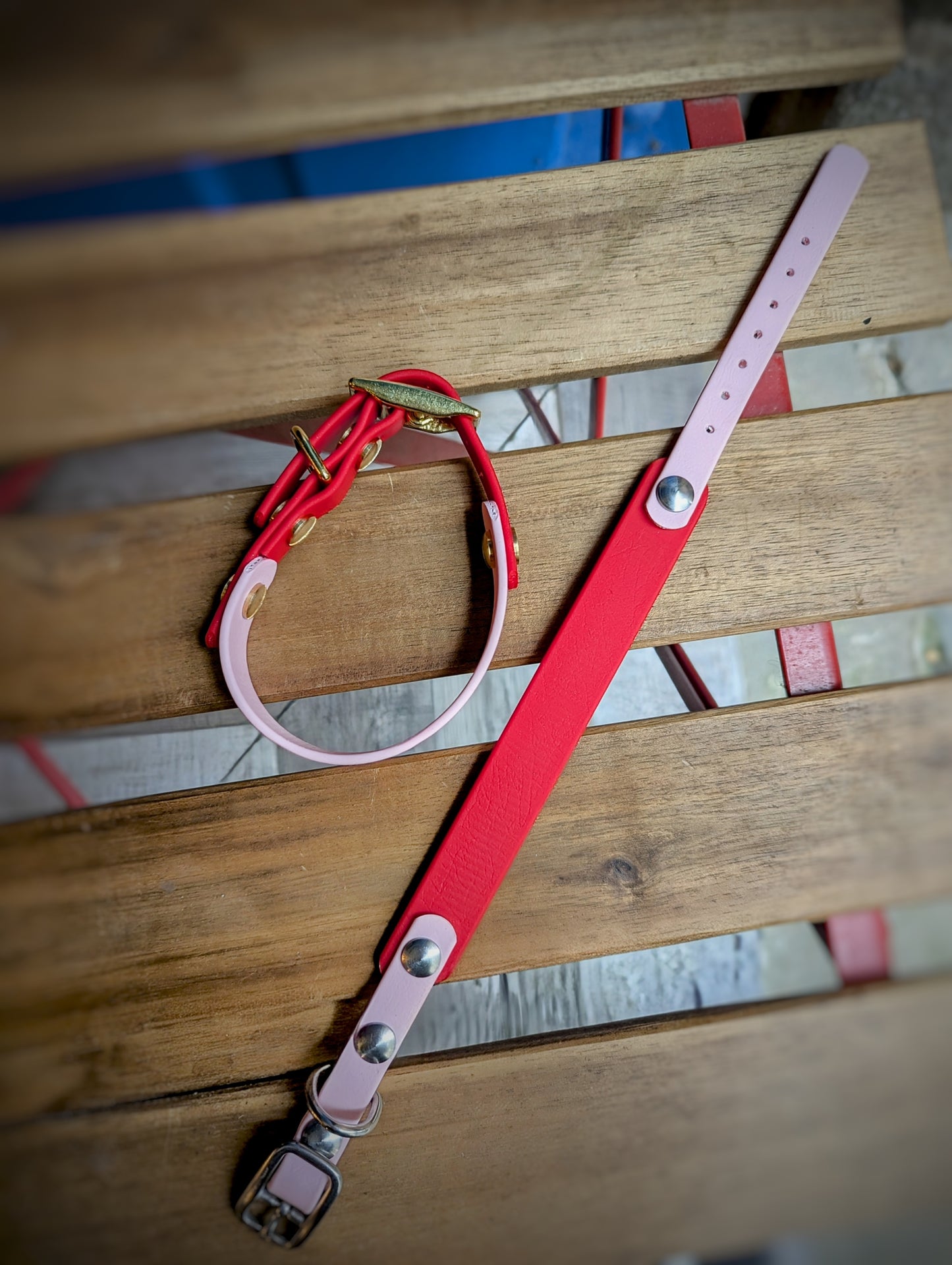 Collier Biothane - Rose & Rouge - Petit chien
