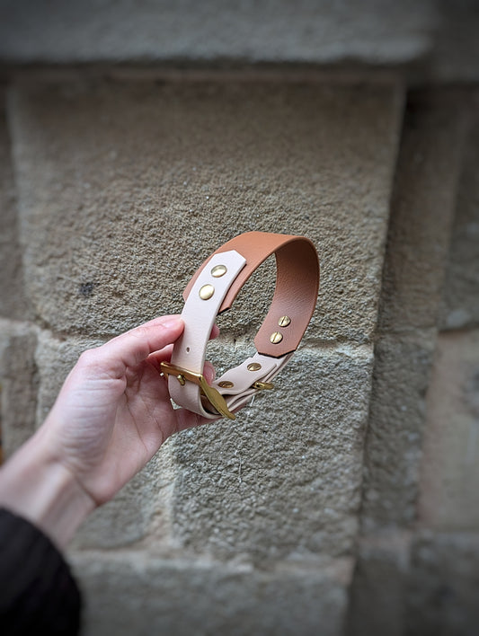 Collier Biothane Duo - Camel & Nude - Grand Chien