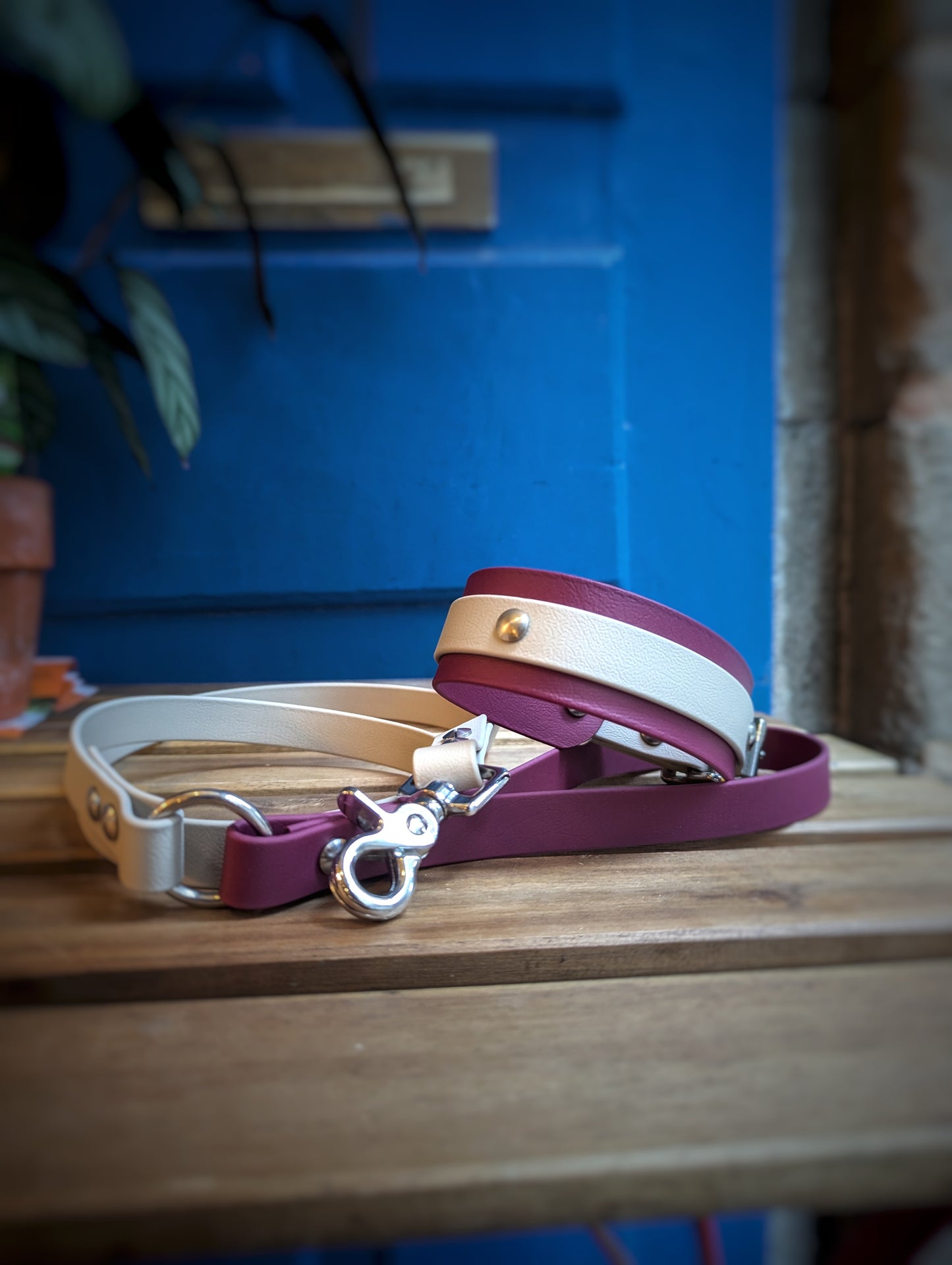 Ensemble Laisse Essentielle et Collier Taupe / Lie de Vin - Lévrier