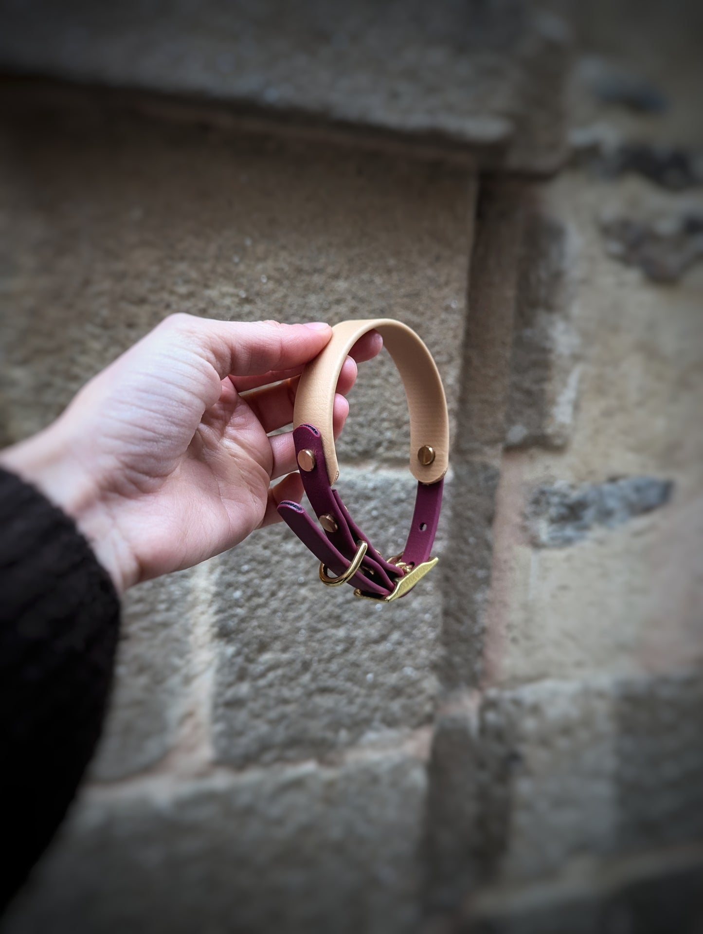 Ensemble Laisse Kit Main Libre & Collier Or Light - Lie de Vin - Petit chien