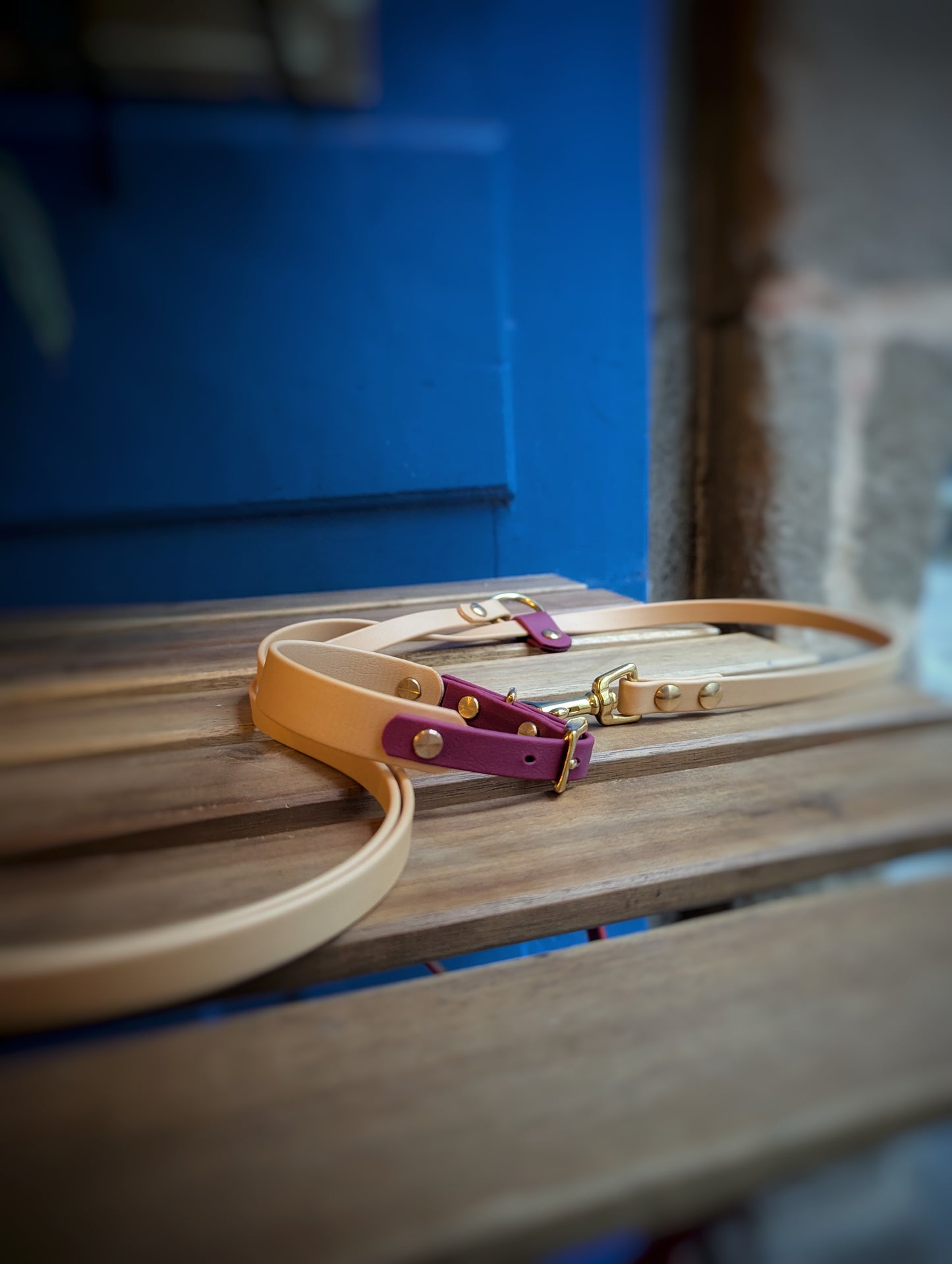 Ensemble Laisse Kit Main Libre & Collier Or Light - Lie de Vin - Petit chien