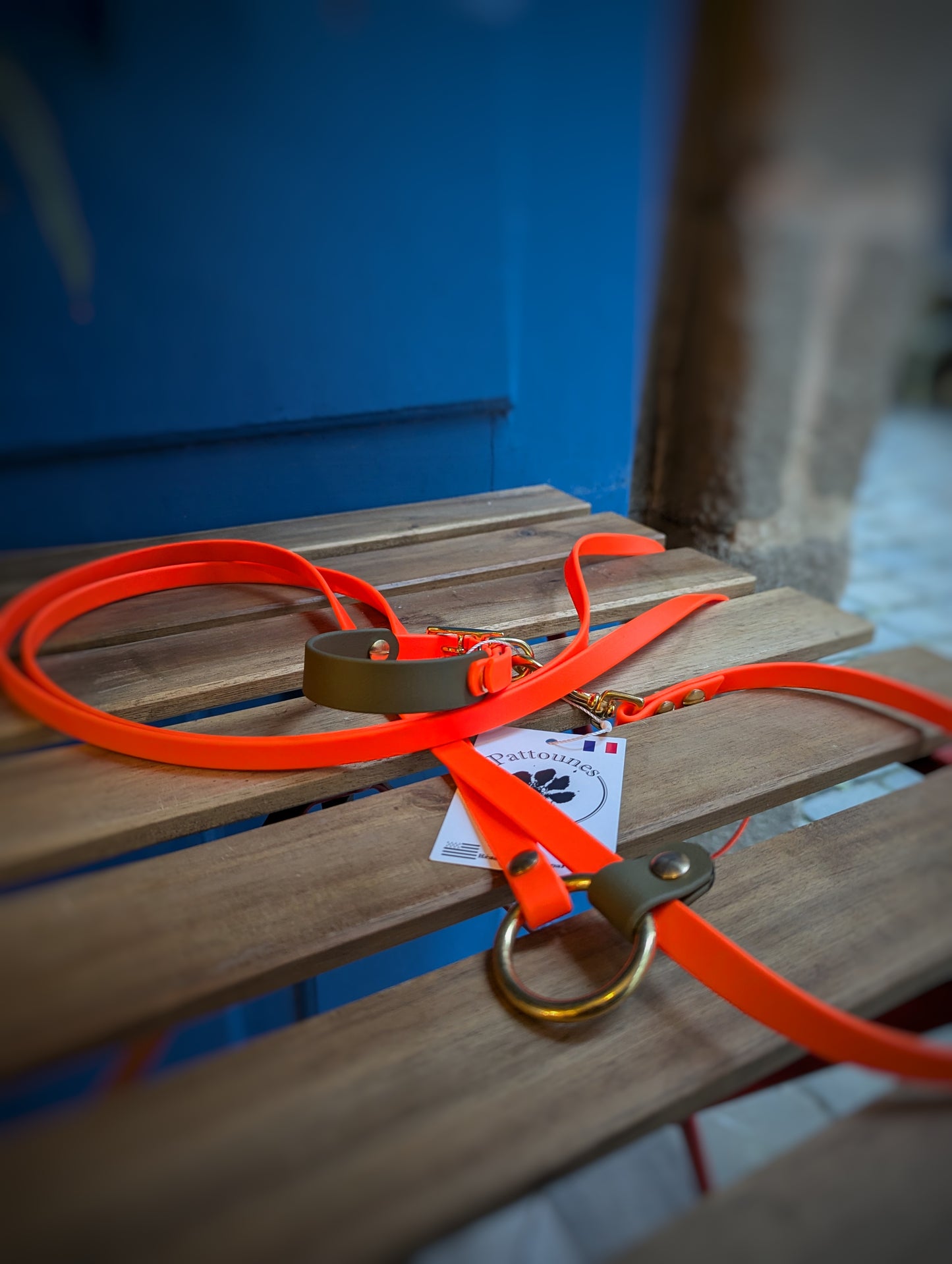 Ensemble Laisse Kit Main Libre & Collier Kaki / Orange Néon - Petit chien