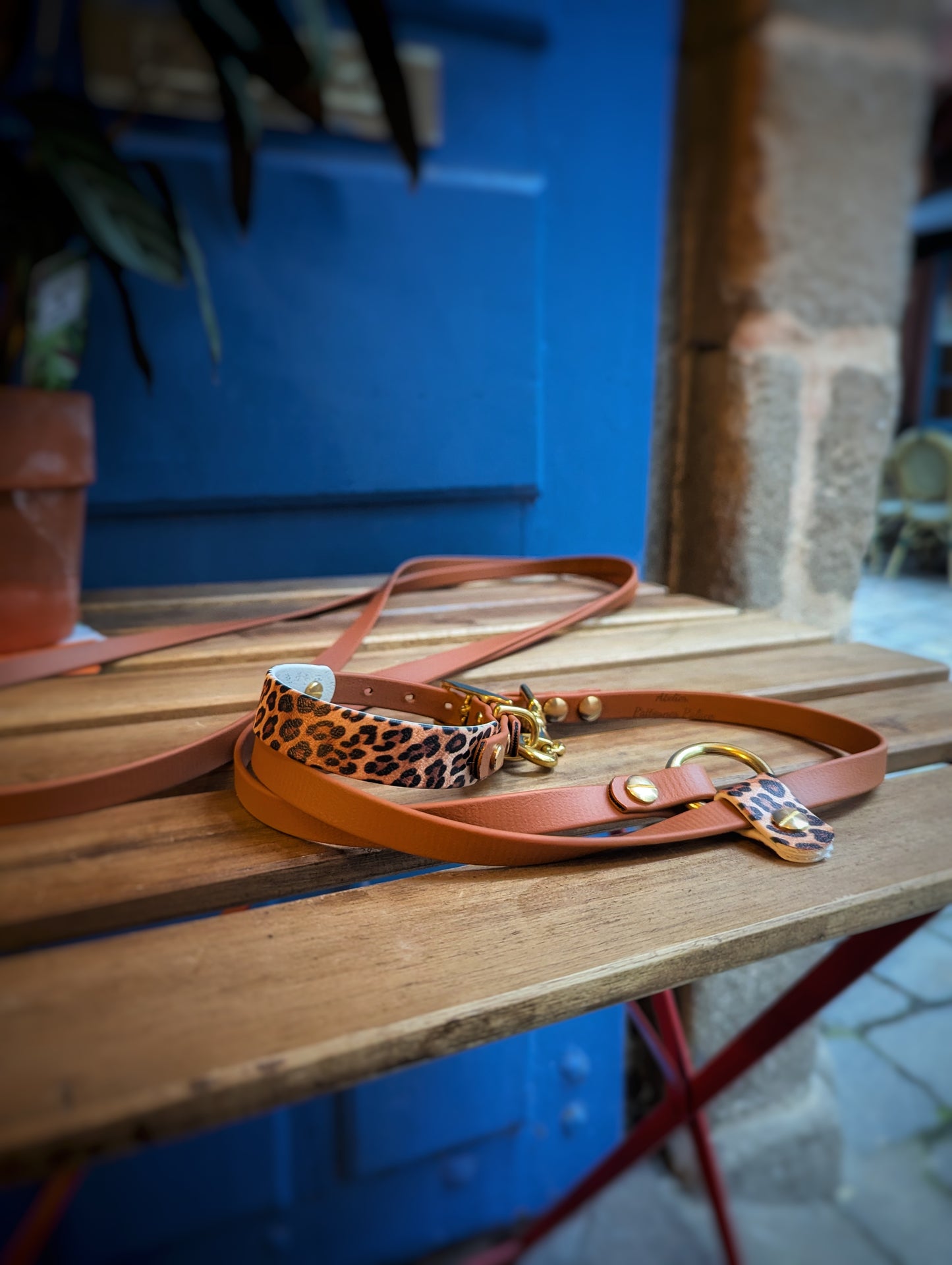 Ensemble Laisse Kit Main Libre & Collier Léopard - Petit chien