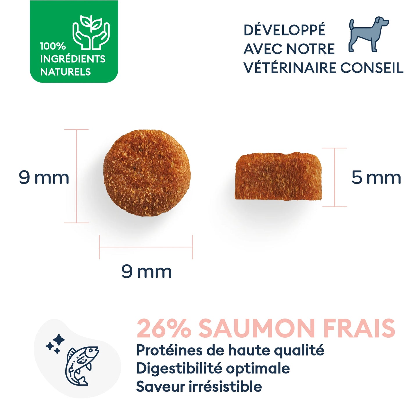 Croquettes Chien Senior de petite Taille - Marly & Dan