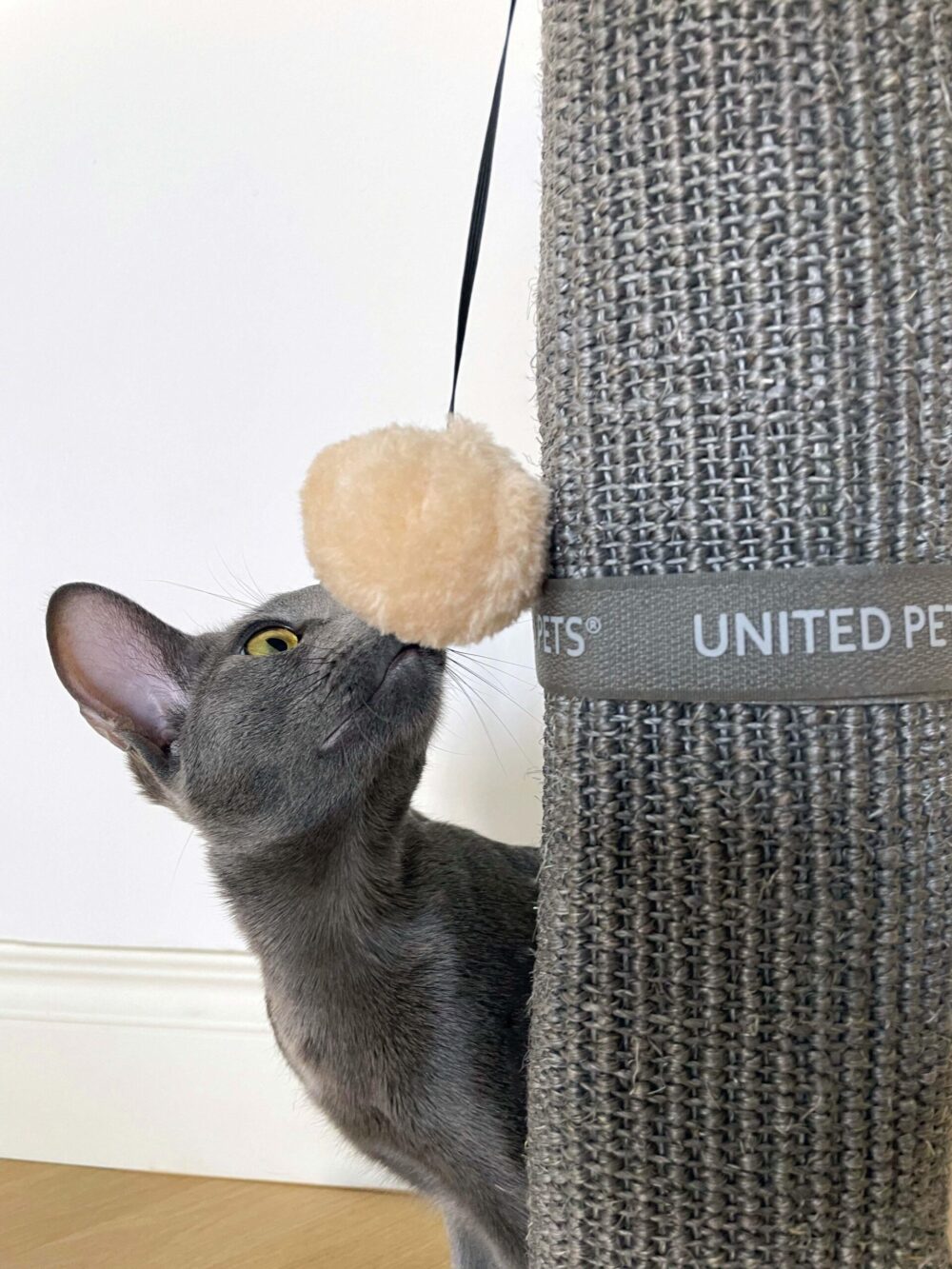 Griffoir pour pieds de table - Chat