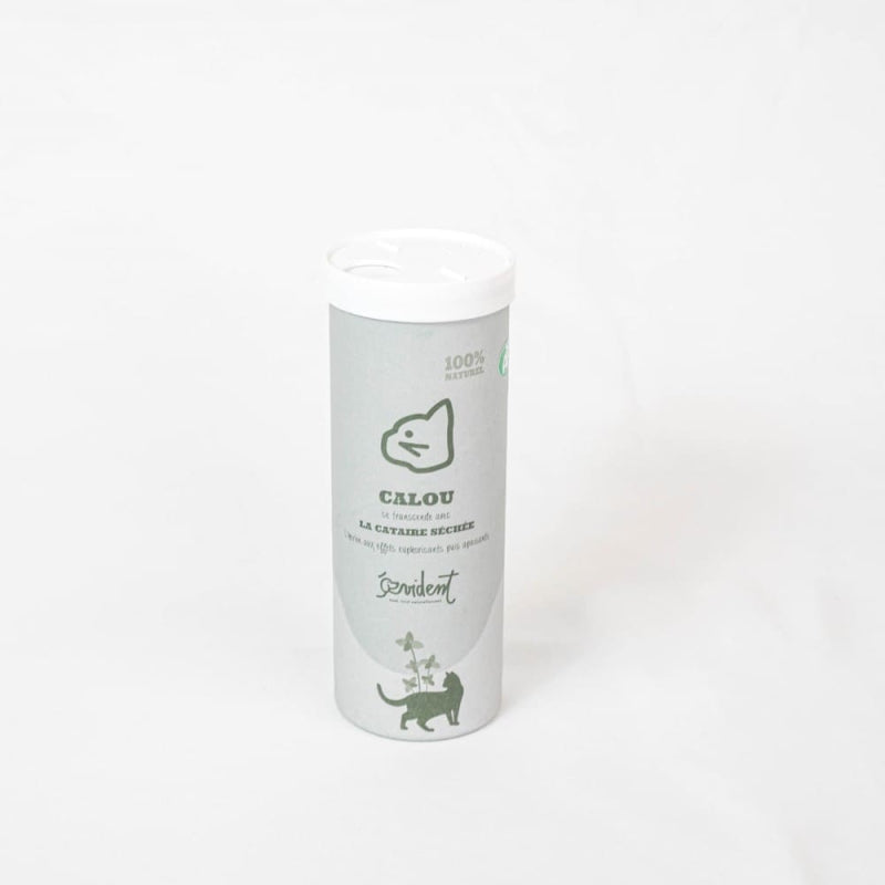 Herbes à chat - Cataire - Evident