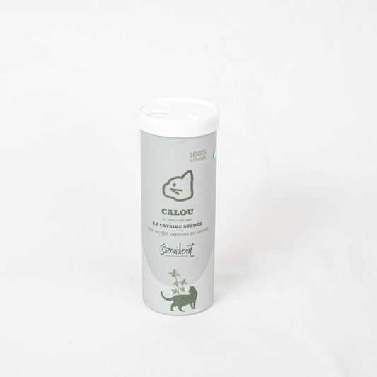 Herbes à chat - Cataire - Evident