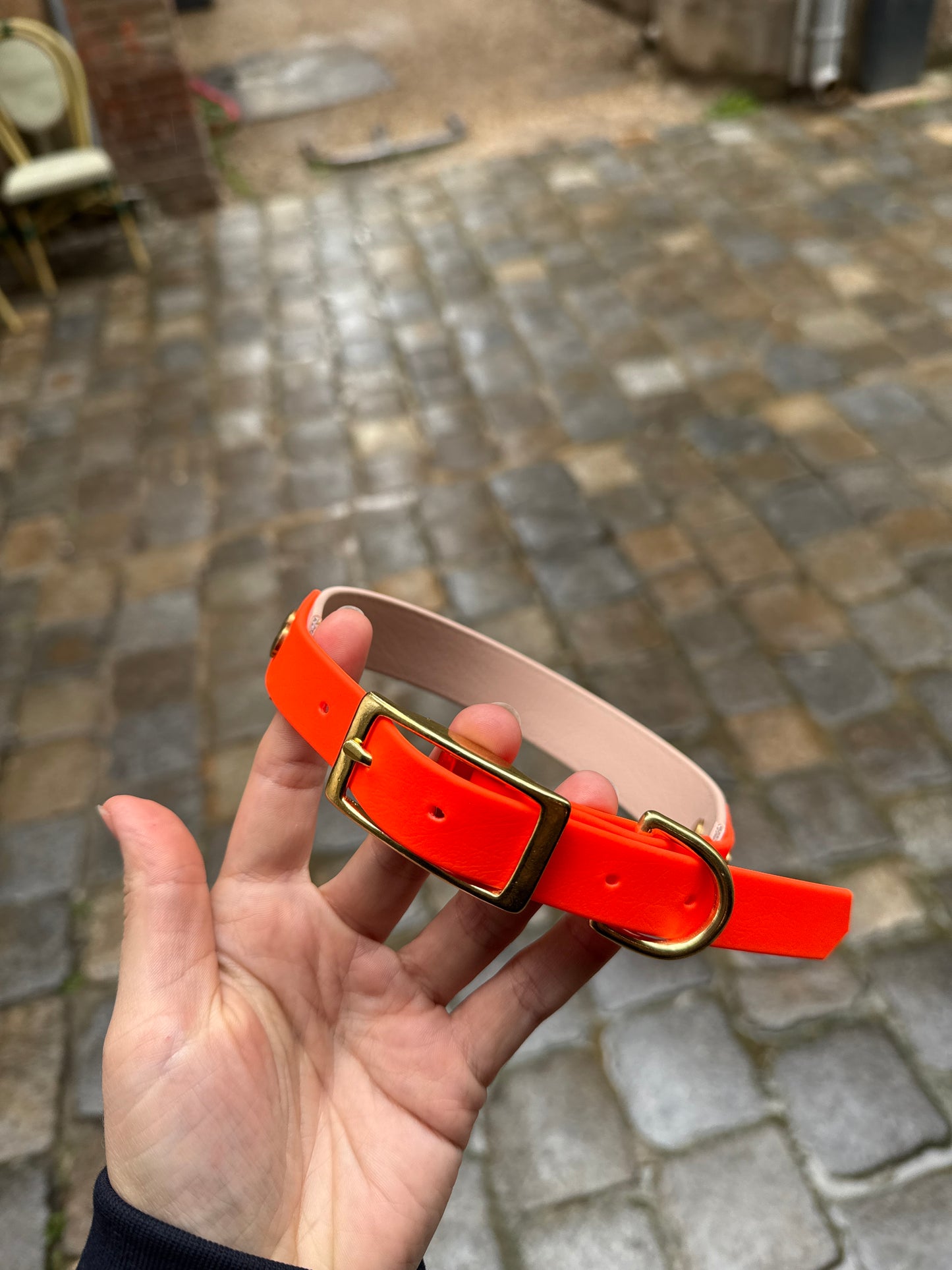 Collier Duo en Biothane🍁