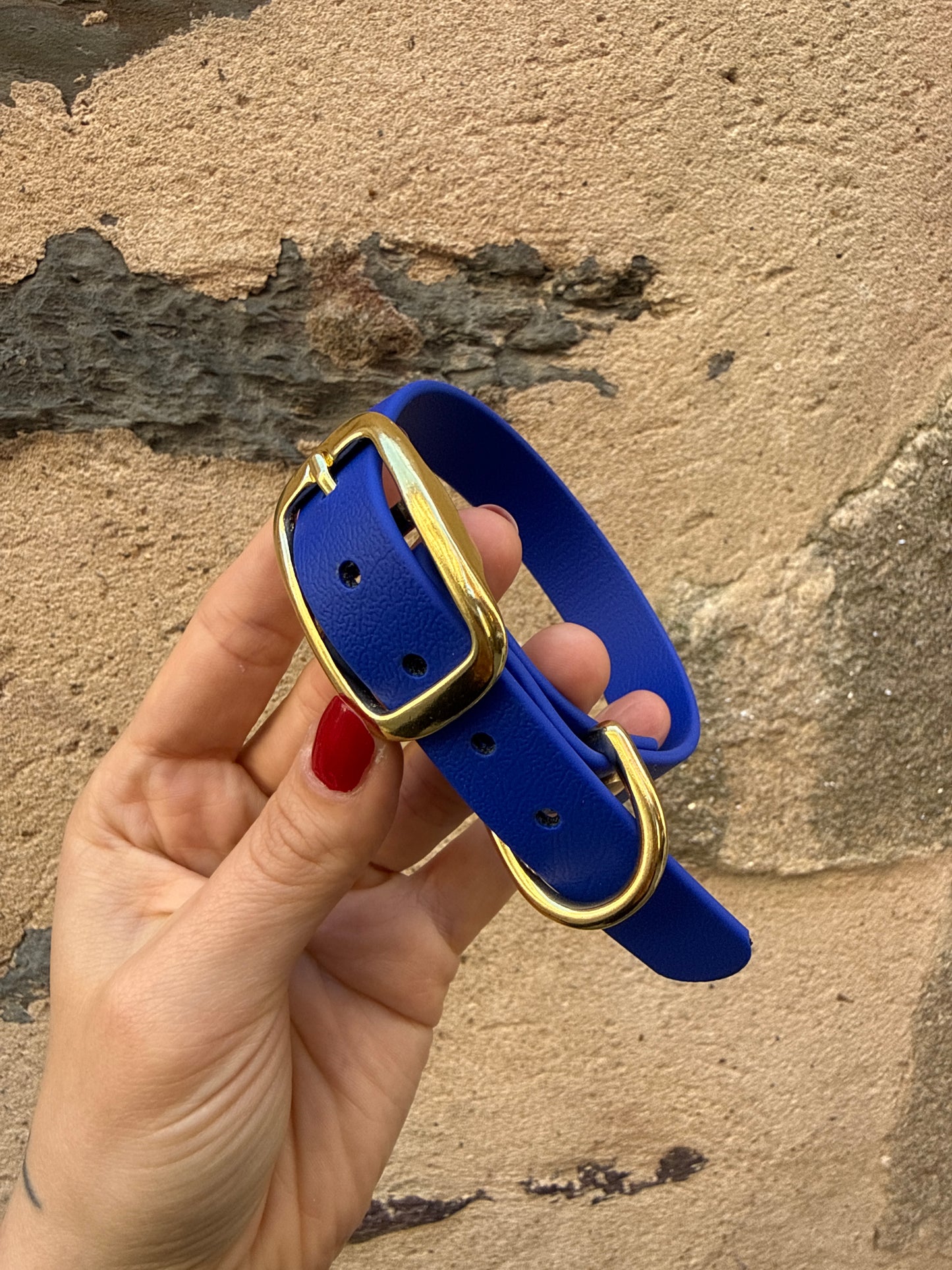 Collier pour chien évolutif -Biothane- laiton massif
