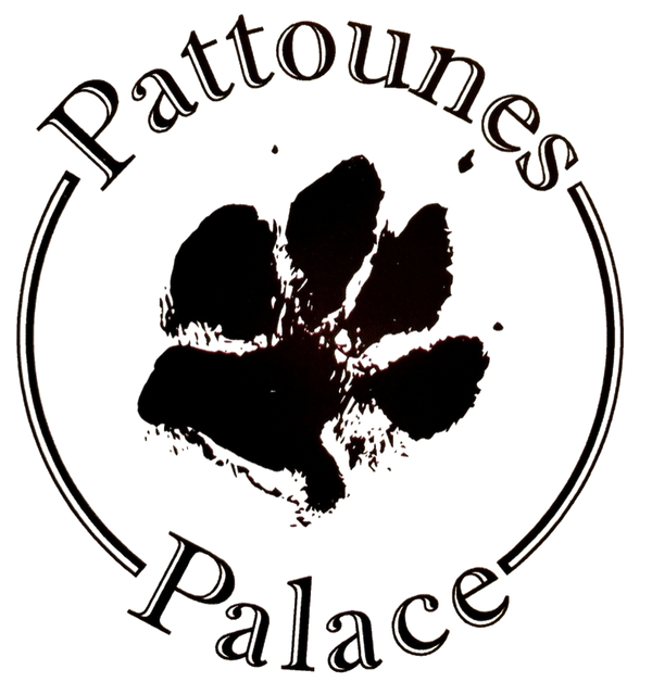 Pattounes Palace