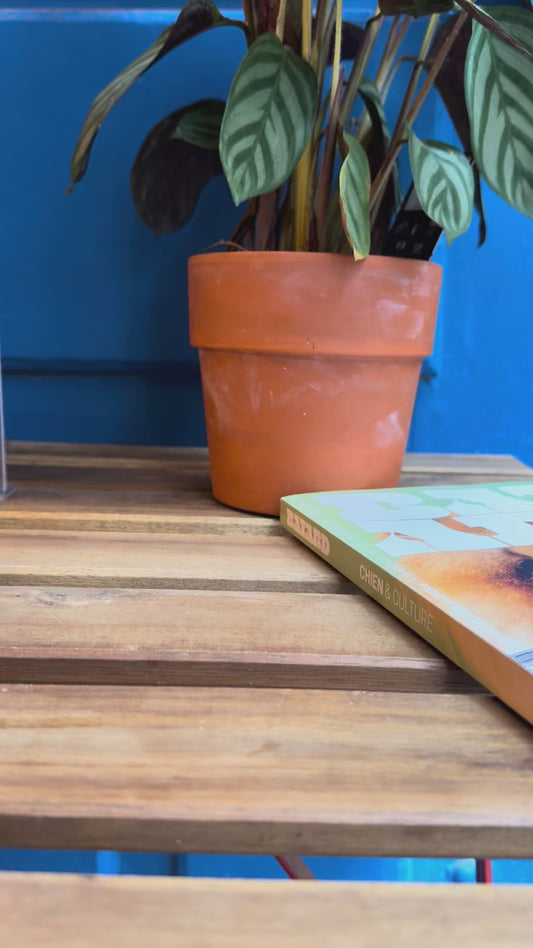 Baume coussinet chien - Doux coussinets, Dexter & Mango