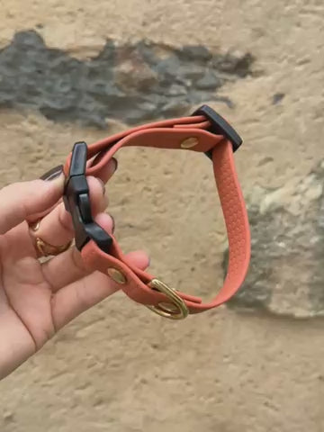 Collier Hexa XS - Spécial Chiot