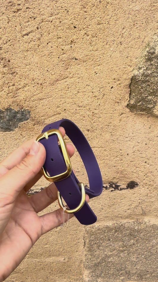 Collier essentiel évolutif en Biothane - 19mm - XS