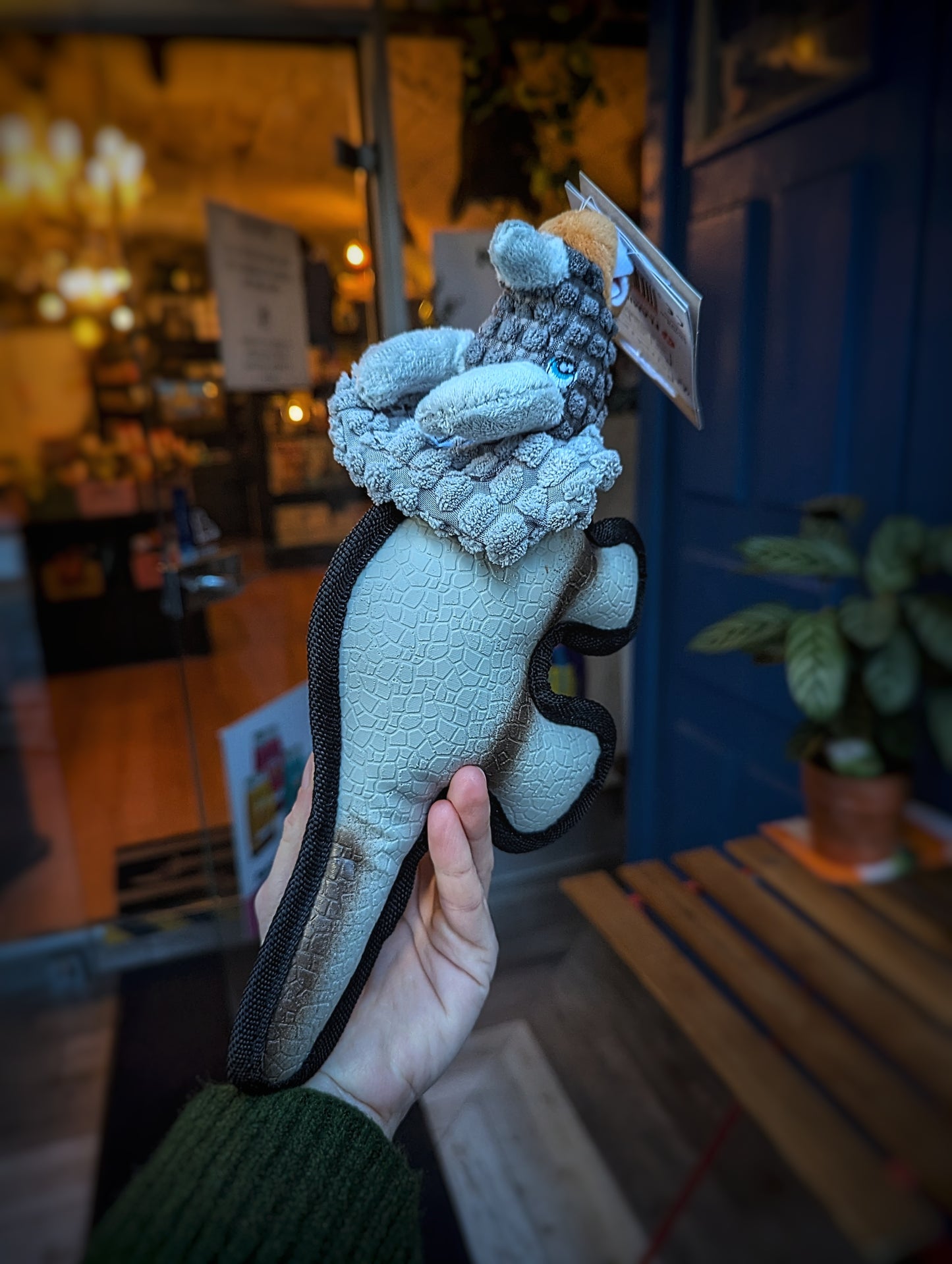 Jouet Dinosaure - Chien