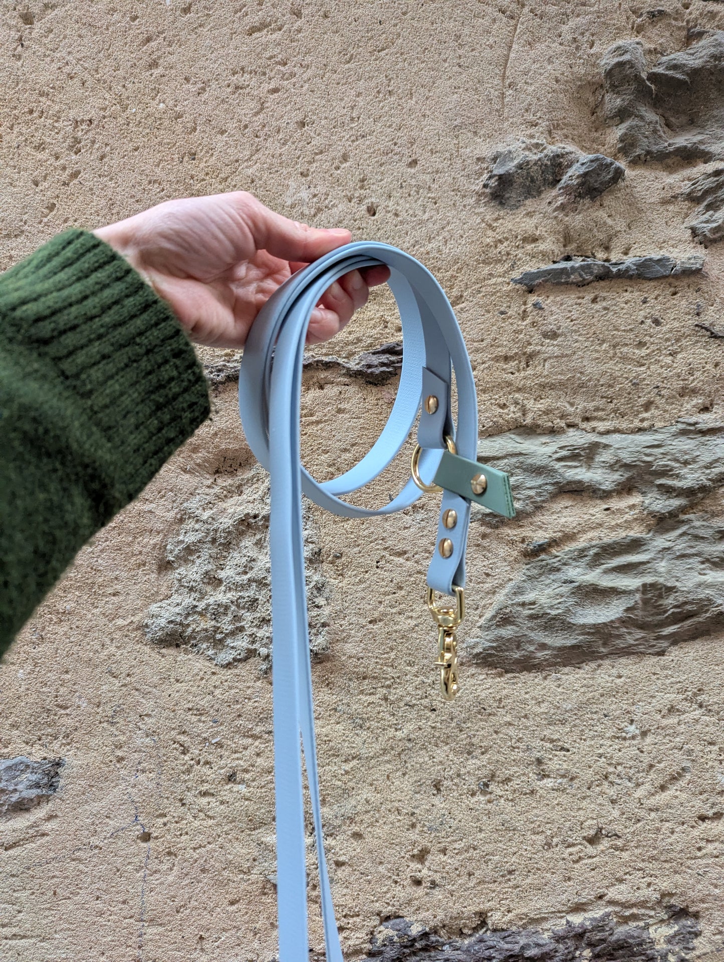 Laisse kit main libre - Bleu ciel & Vert sauge 2,5m en Biothane