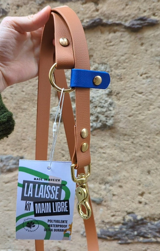 Laisse kit main libre - Camel et Bleu roi