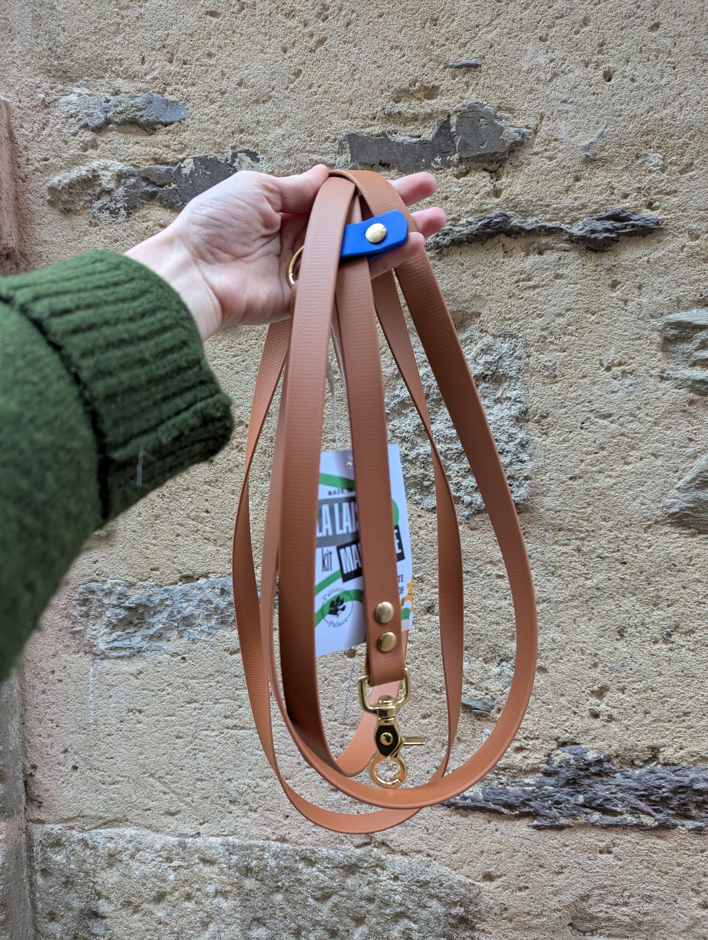 Laisse kit main libre - Camel et Bleu roi